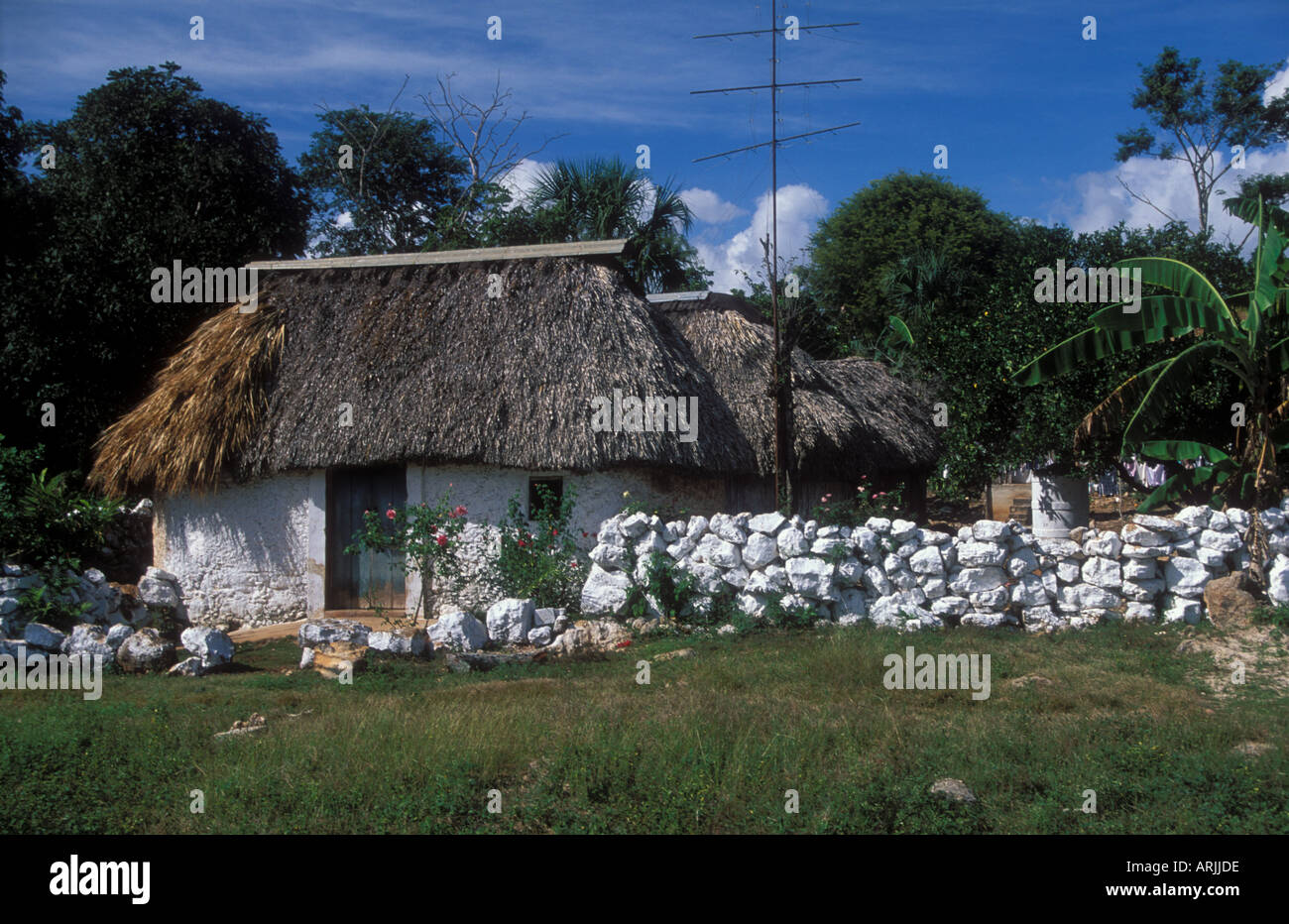 Typische Maya indische ländlichen Wohnhaus mit Stroh Dach weiß Rockwall rund um Hof in der Nähe von Ticul Yucatan Mexiko Stockfoto