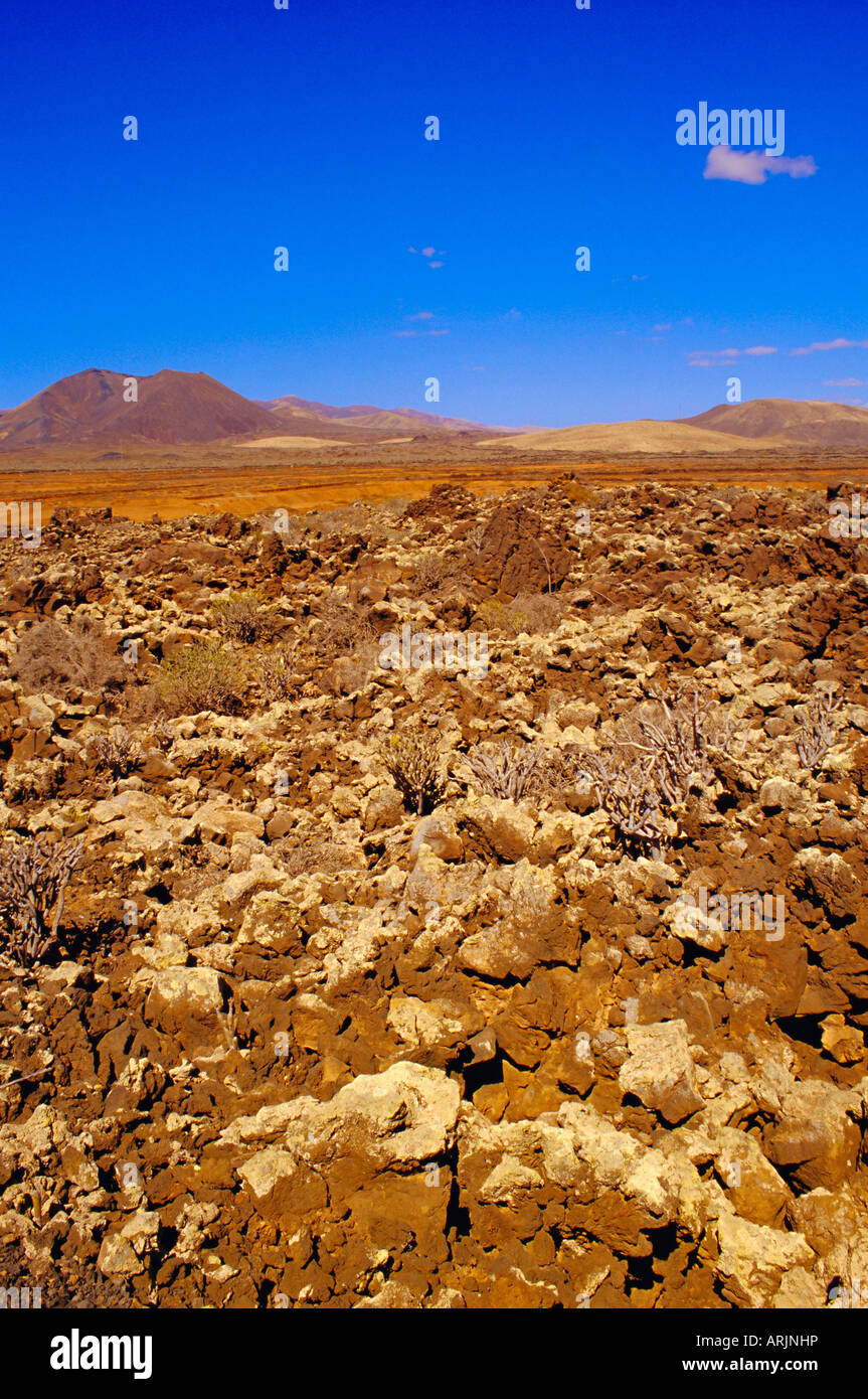 Vulkanische Landschaft mit Vulkanen im Hintergrund in der Nähe von Tiscamanita, Fuerteventura, Kanarische Inseln, Spanien Stockfoto