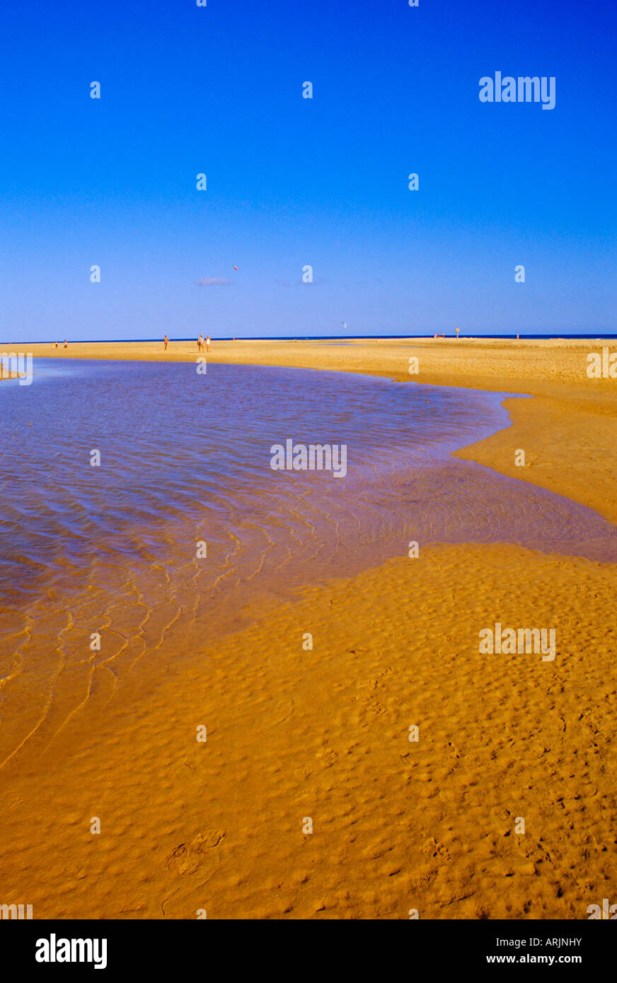 Blaue Lagune und Sandstrand, Playa de Sovento, Peninsula de Gania, Fuerteventura, Kanarische Inseln, Spanien Stockfoto