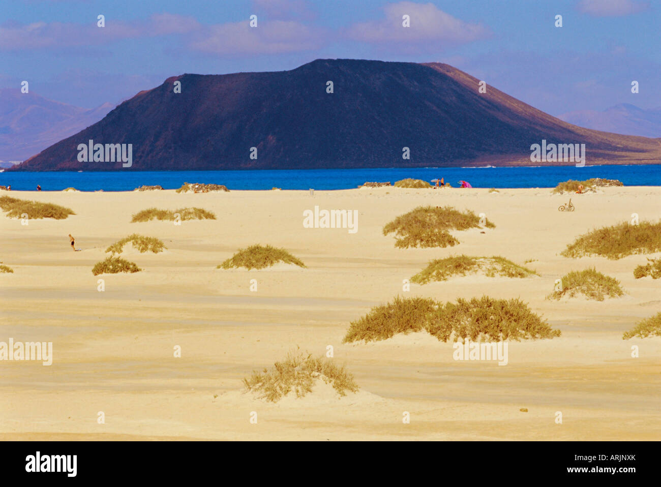 Sandy Dünen und "Isla de Los Lobos" im Hintergrund, Corralejos, Fuerteventura, Kanarische Inseln, Spanien Stockfoto