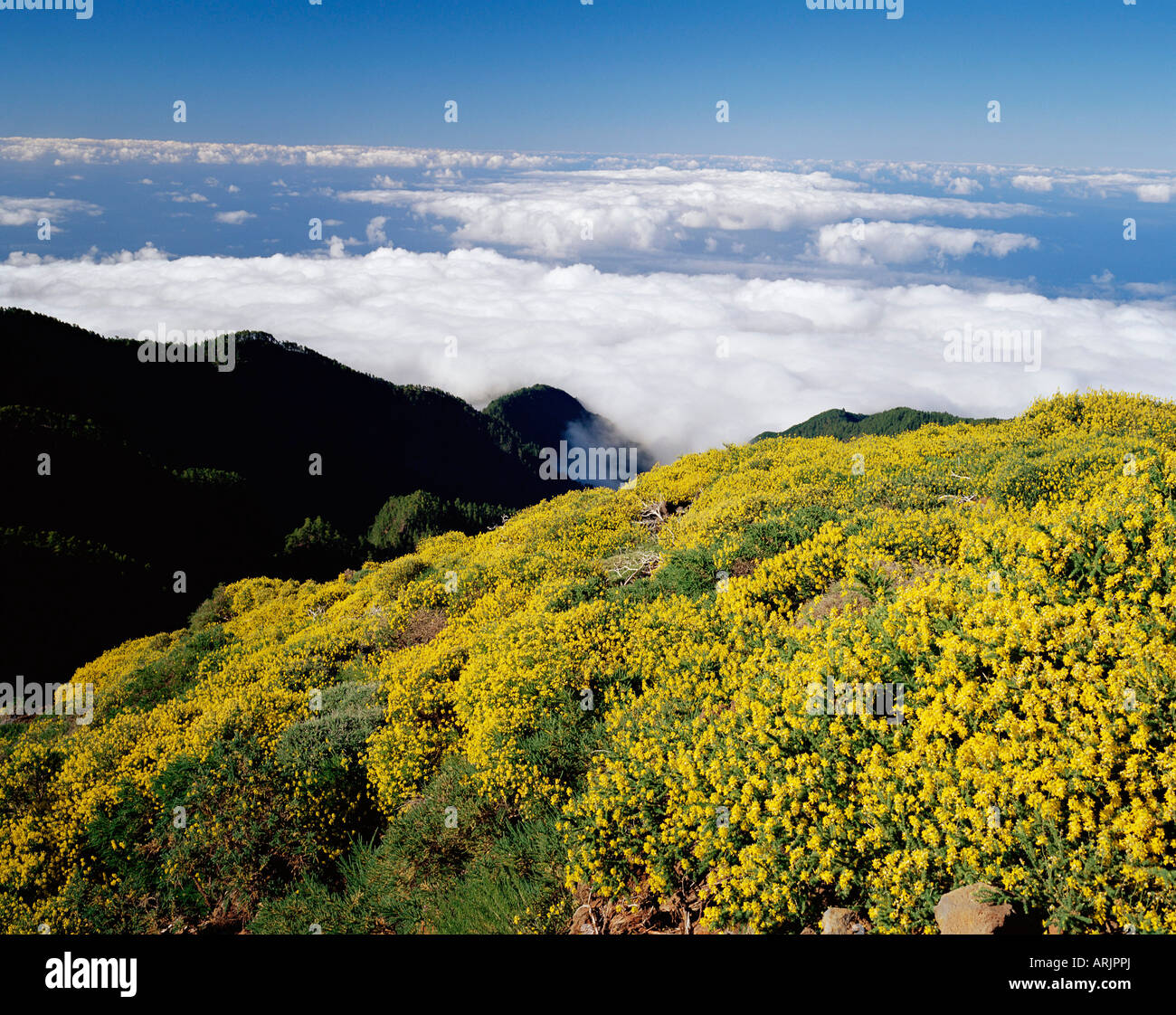 Landschaft und Wolken in der Nähe von Roque de Los Muchachos, Parque Nacional De La Caldera de Taburiente, La Palma, Kanarische Inseln, Spanien Stockfoto