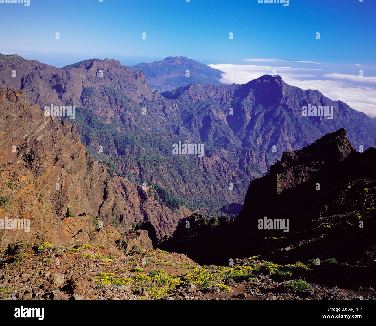 Blick über Parque Nacional De La Caldera de Taburiente von Roque de Los Muchachos, La Palma, Kanarische Inseln, Spanien, Europa Stockfoto