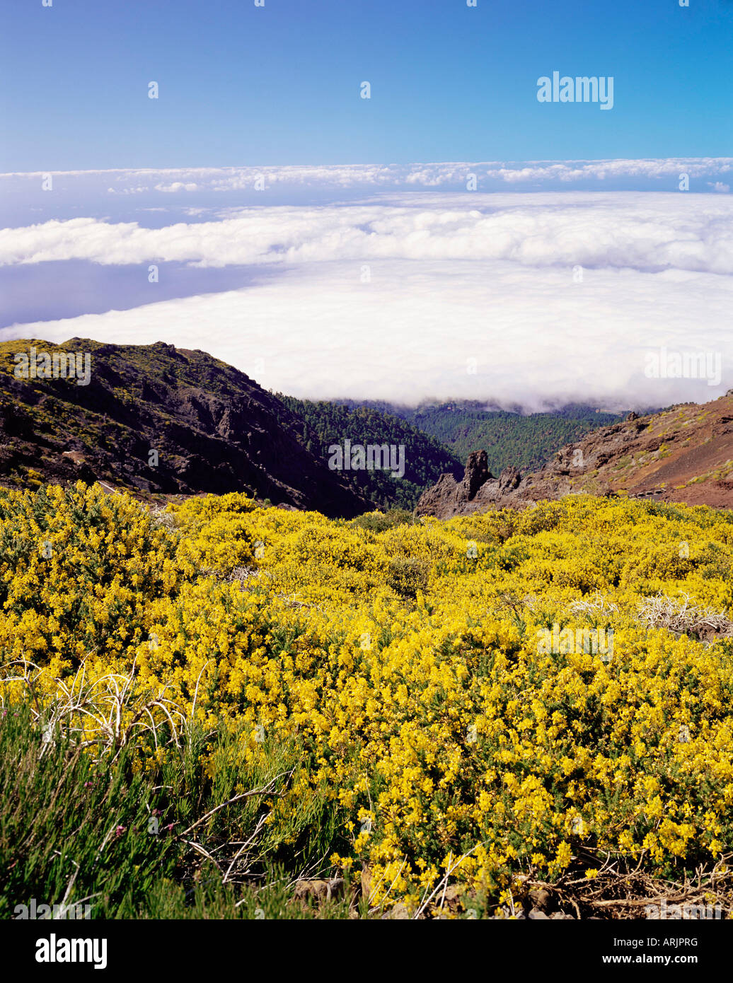 Landschaft in der Nähe von Roque de Los Muchachos, Parque Nacional De La Caldera de Taburiente, La Palma, Kanarische Inseln, Spanien, Europa Stockfoto