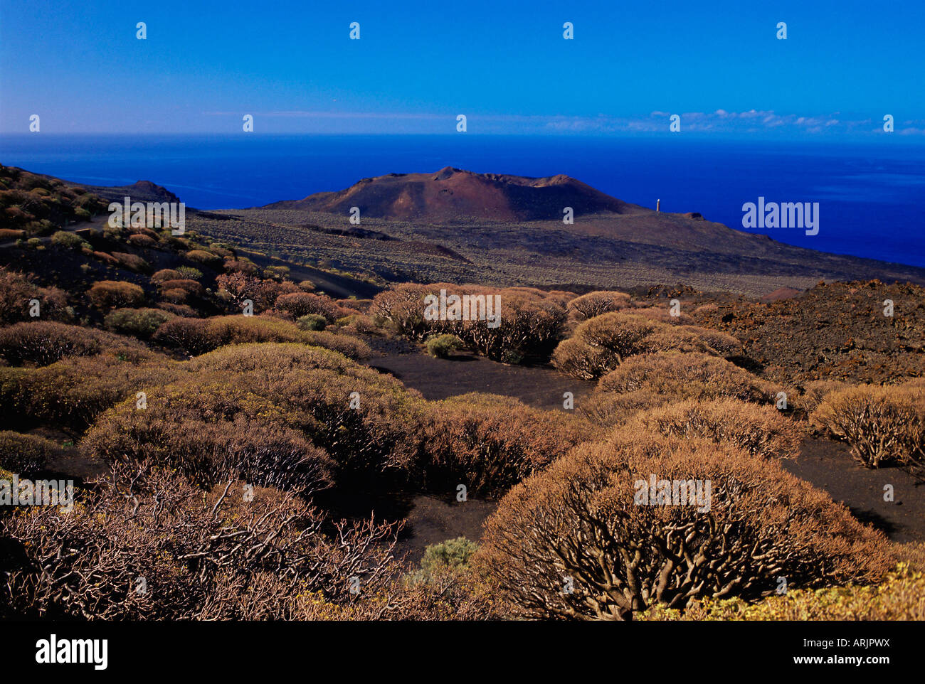 Pflanzen und ein Vulkan Kegel von La Dehesa mit Atlantischen Ozean im Hintergrund betrachtet, El Hierro, Kanarische Inseln, Spanien, Europa Stockfoto