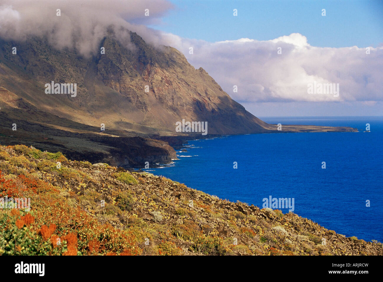 Blumen und Berge auf der südlichen Küste, El Hierro, Kanarische Inseln, Spanien, Atlantik, Europa Stockfoto