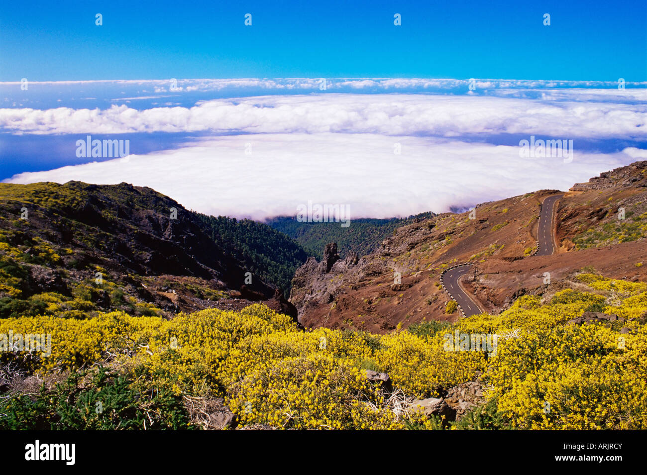 Ansicht des Parc Nacional De La Caldera de Taburiente von Roque de Los Muchachos, La Palma, Kanarische Inseln, Spanien, Atlantik, Europa Stockfoto