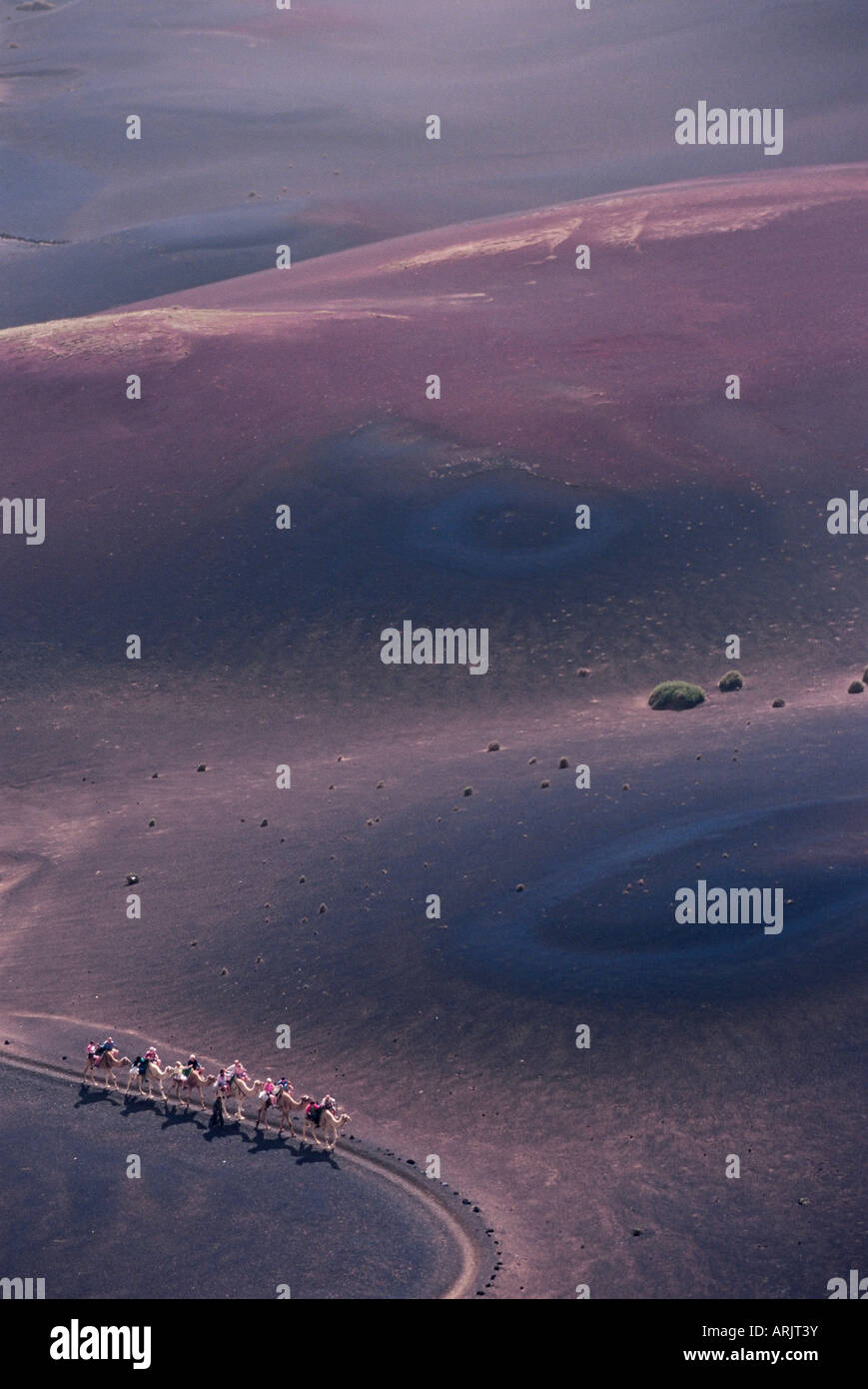 Luftaufnahme des Menschen Kamelreiten in der vulkanischen Wüste, Parque Nacional de Timanfaya, Lanzarote, Kanarische Inseln, Spanien, Atlantik Stockfoto