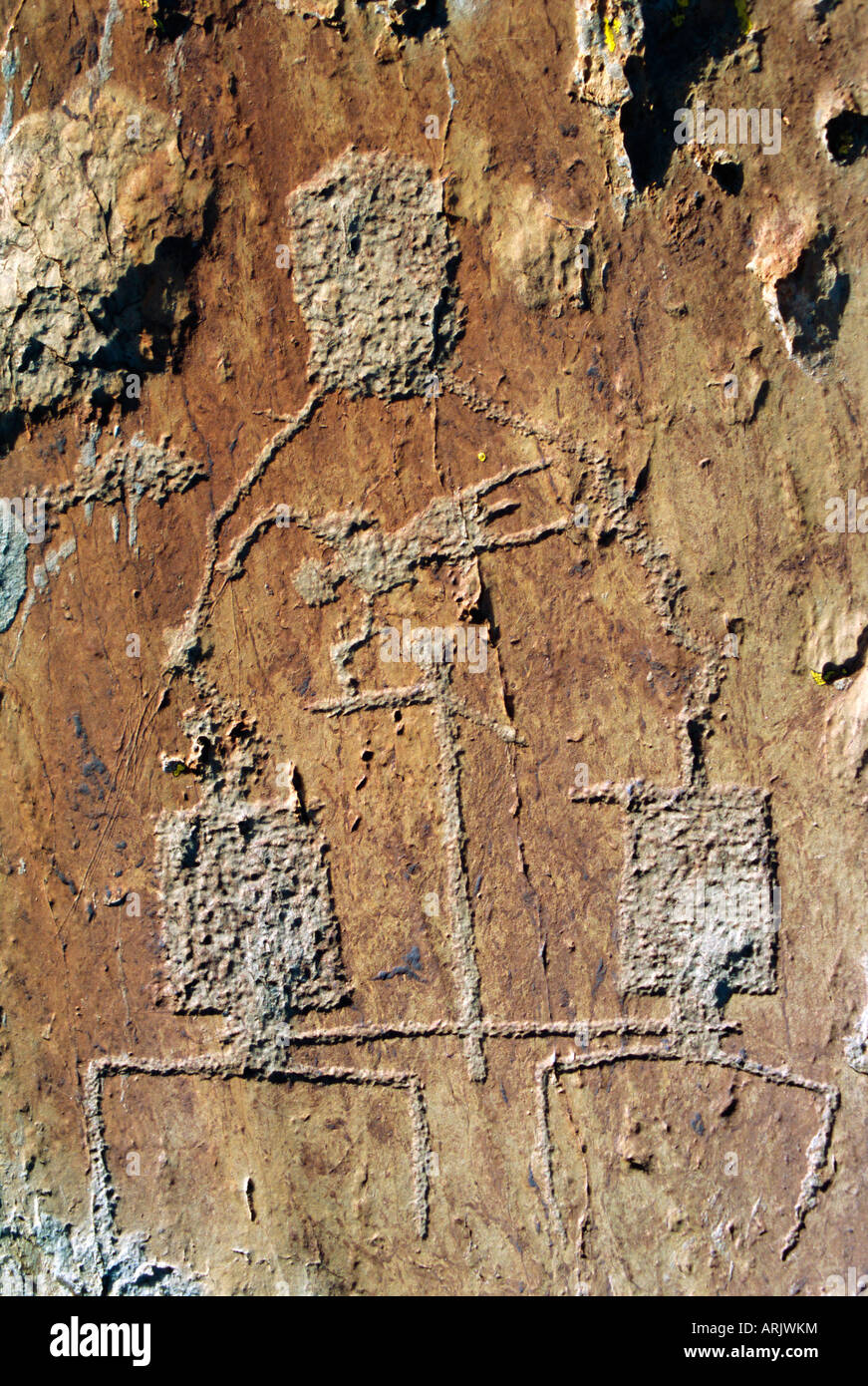 Rock, Gravur, Tal von Fontanalba, zahlt Merveilles, Mercantour Park, Alpes Maritimes, Provence, Frankreich Stockfoto