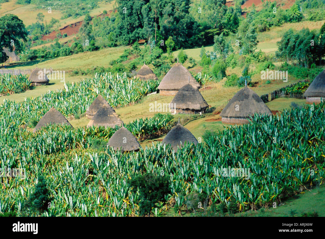 Kleines Dorf in Hosana, Shoa Provinz, Äthiopien, Afrika Stockfoto