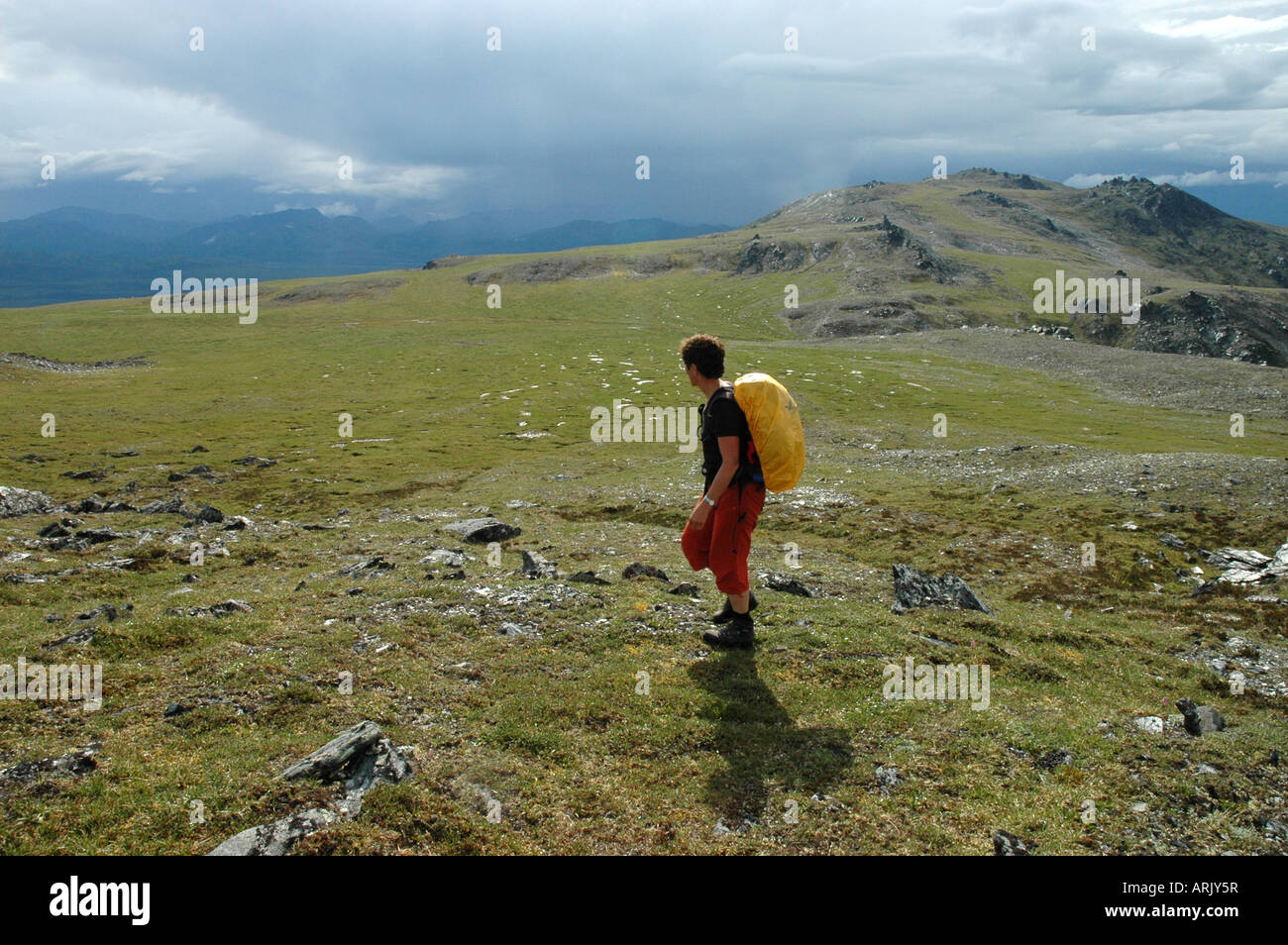 Wanderer auf Primrose Ridge Denali National Park Regensturm bewegt sich in Alaska Stockfoto