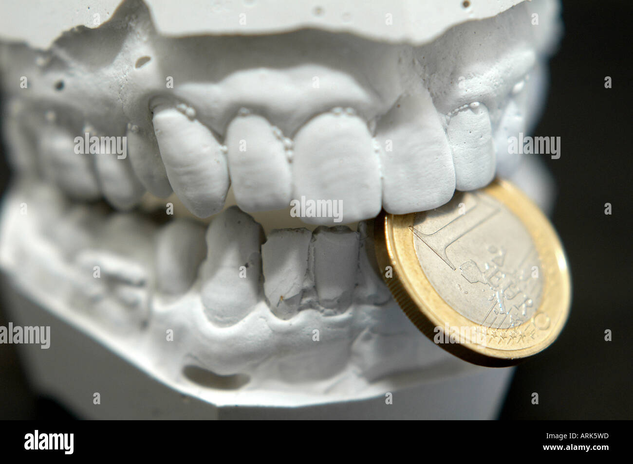 Symbolische Foto: Kinnbacken Modell aus Gips mit ein-Euro-Münze. Kosten für Zahnersatz, Euro-Währung, Kosten für zahnärztliche trea Stockfoto