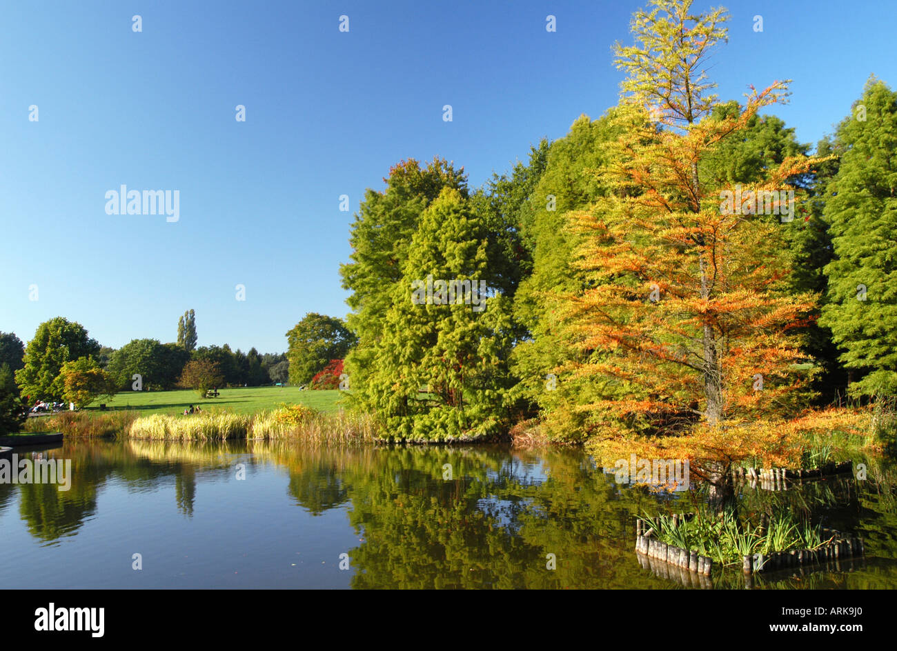 Klein flottbek Fotos und Bildmaterial in hoher Auflösung Alamy