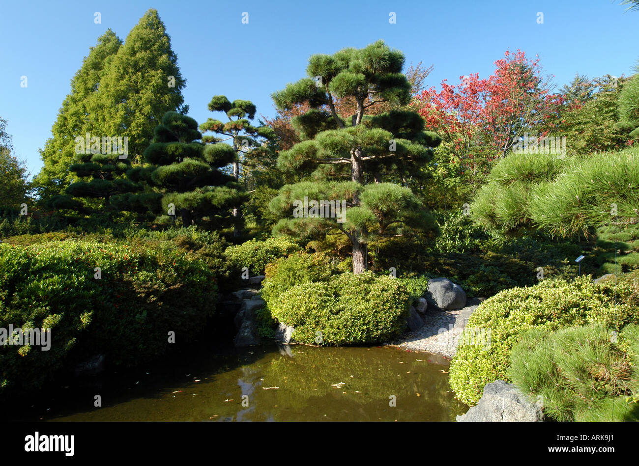 Der Japanische Garten Im Botanischen Garten Im Stadtteil Klein