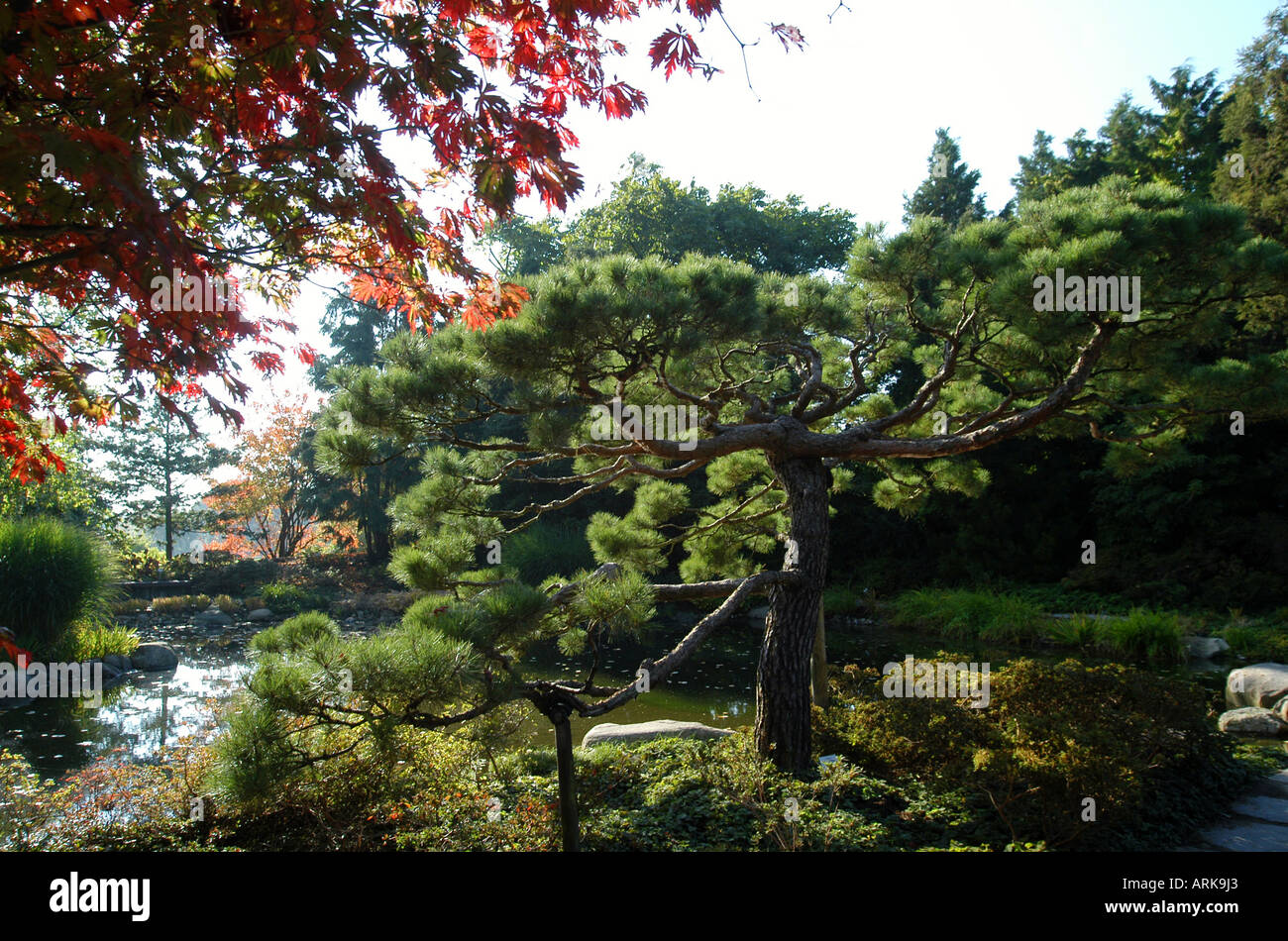 Der Japanische Garten Im Botanischen Garten Im Stadtteil Klein Flottbek Hamburg Deutschland Stockfotografie Alamy