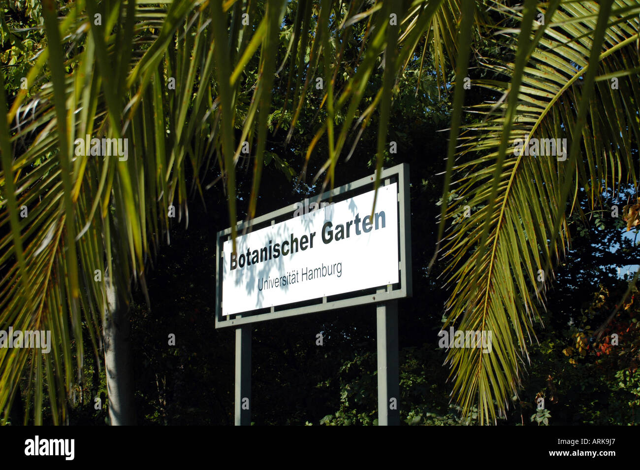 Eintritt Zeichen Unter Palmen Der Botanische Garten Im Stadtteil