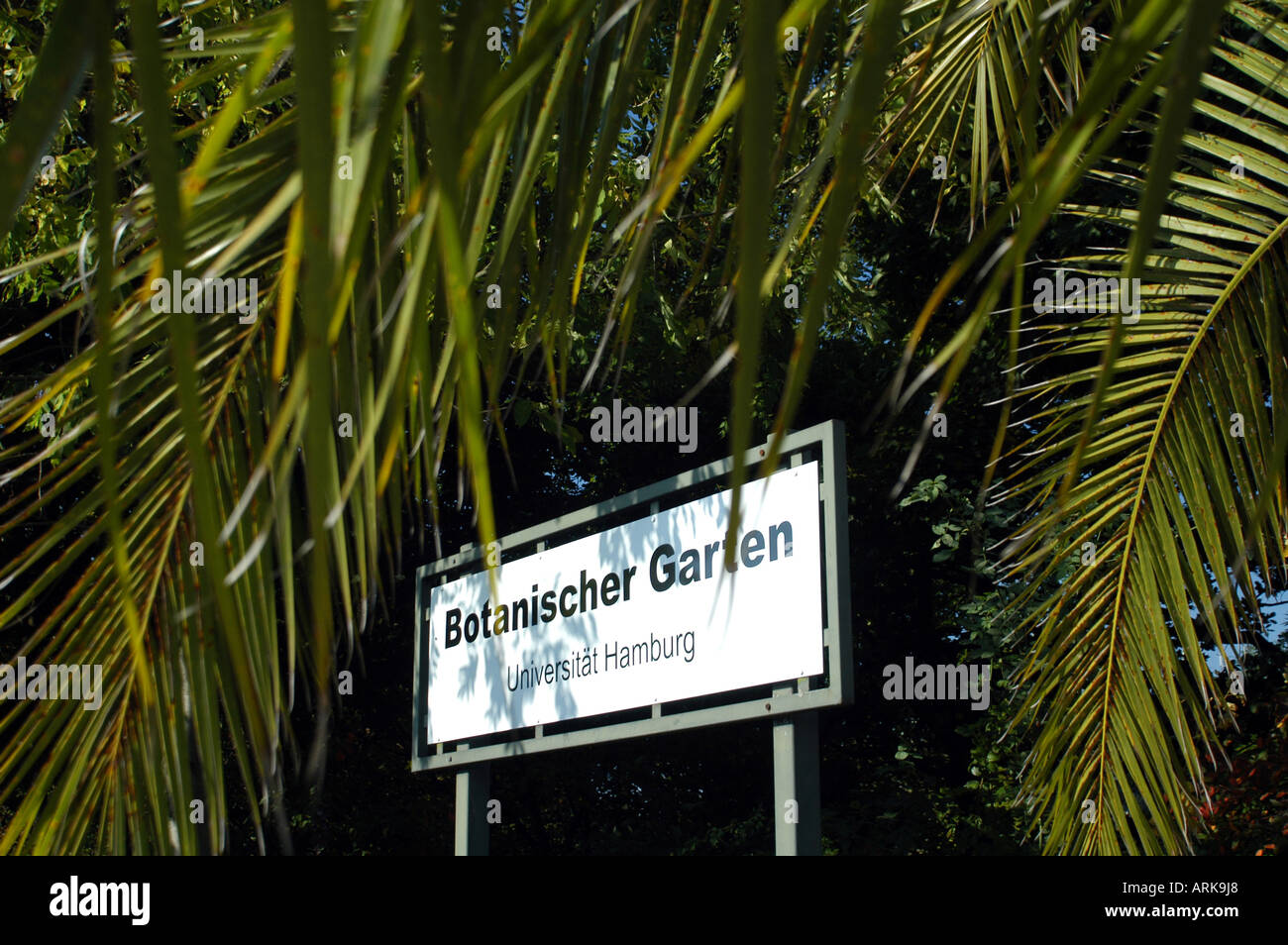 Eintritt Zeichen Unter Palmen Der Botanische Garten Im Stadtteil