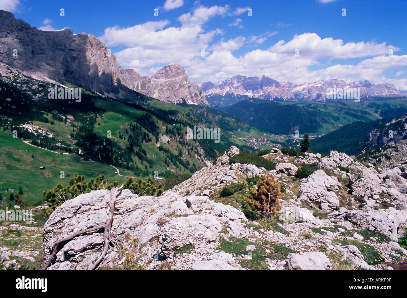 Tal östlich von Grödnerjoch, Dolomiten, Alto Adige, Italien, Europa Stockfoto