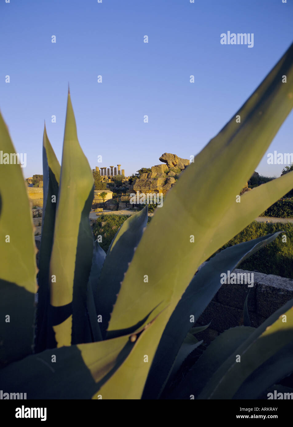 Agrigento, UNESCO World Heritage Site, Sizilien, Italien, Mittelmeer, Europa Stockfoto