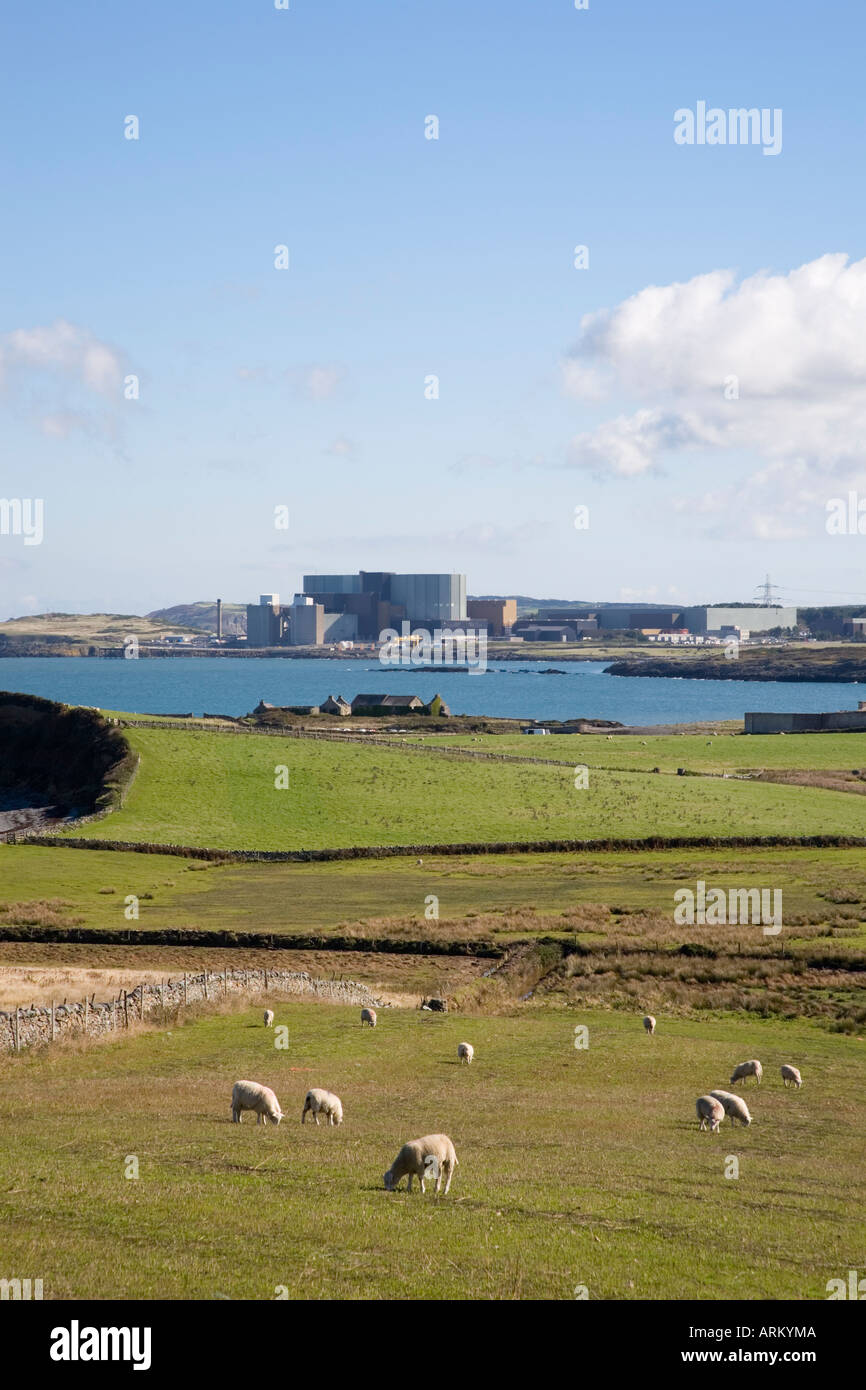 Kernkraftwerk WYLFA über Cemlyn Bucht von Isle of Anglesey Küsten Weg Cemlyn Bay durch Felder von weidenden Schafen Stockfoto