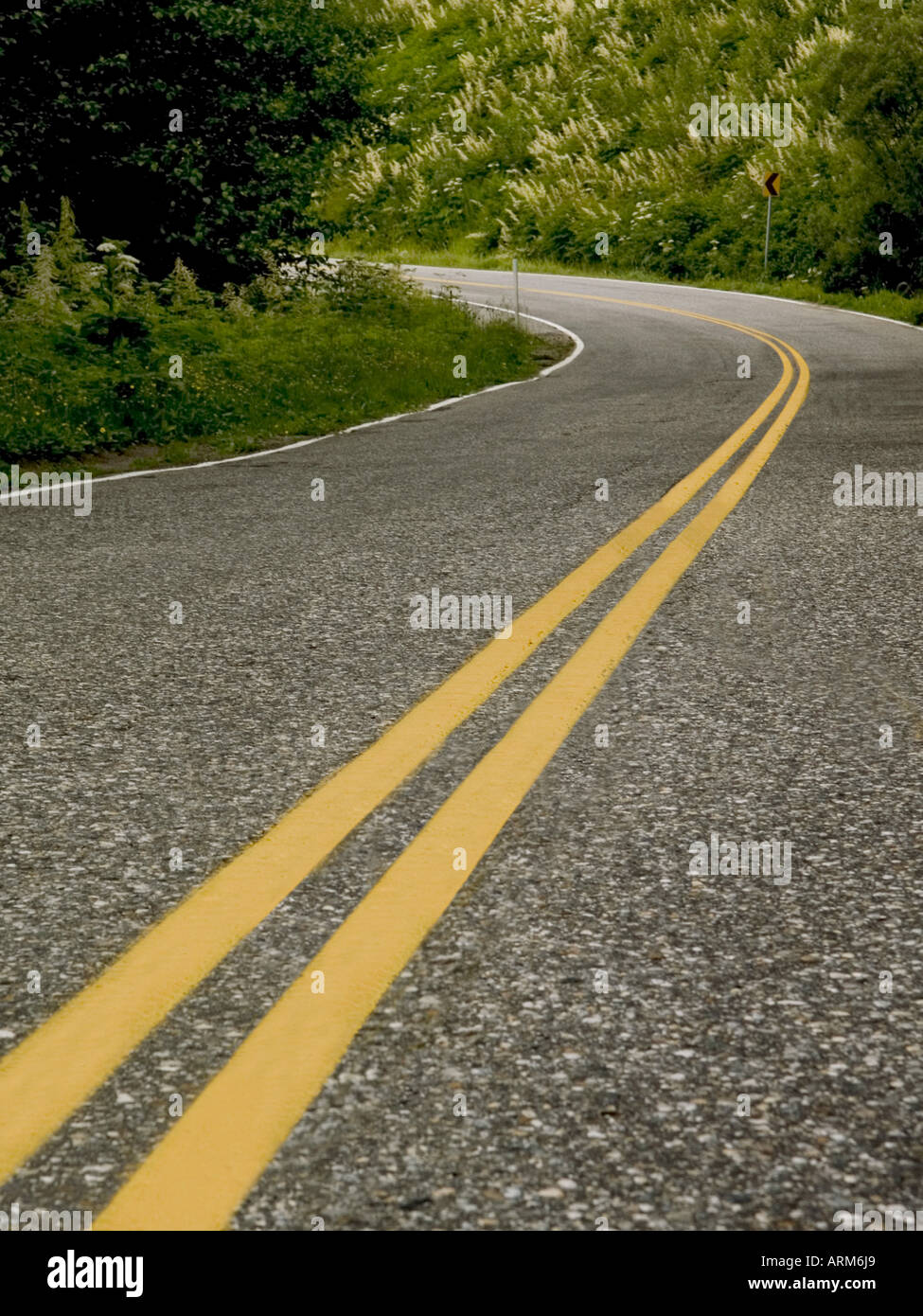 Zwei gelbe Linien auf der Straße von Juneau Alaska USA Stockfoto