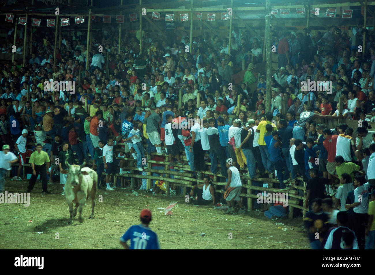 Massen der Costaricaner laufen von mad Bull bei nationalen Fiesta Santa Cruz Stierkämpfe, Costa Rica, Mittelamerika Stockfoto