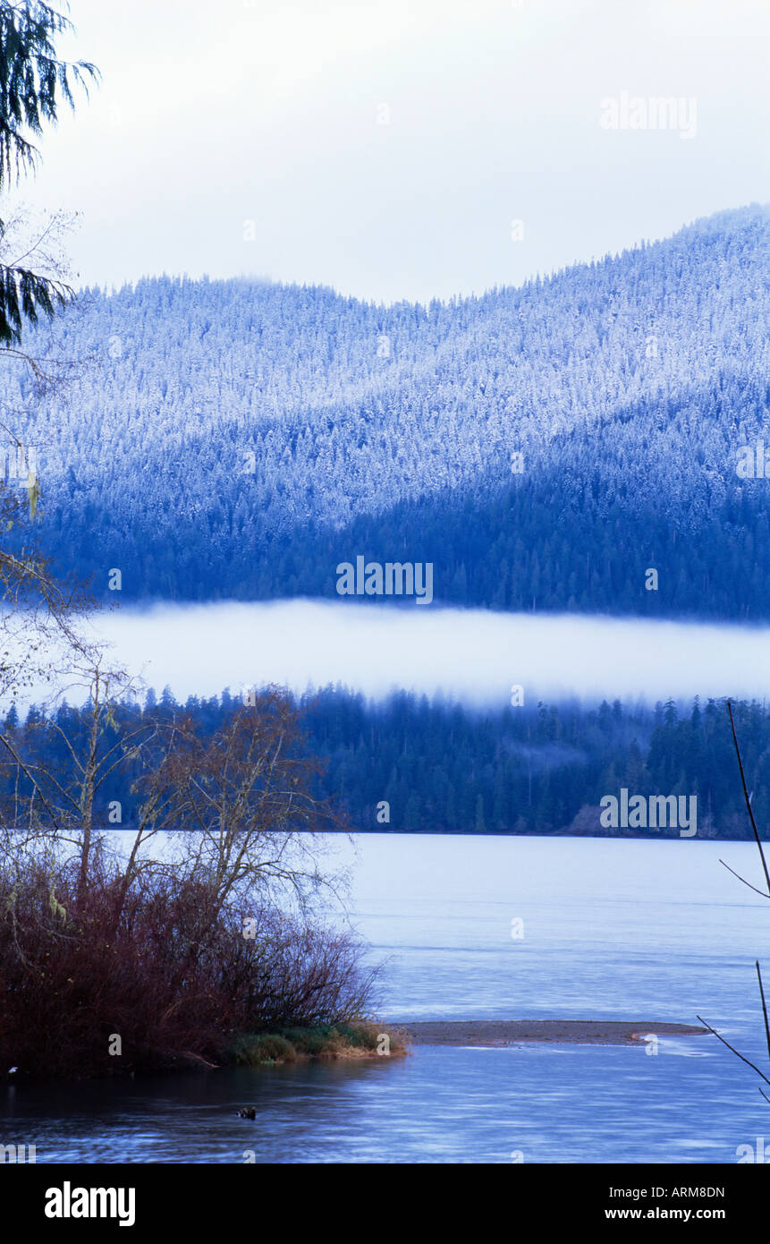 Lake Quinault, Olympic Nationalpark, UNESCO-Weltkulturerbe, US-Bundesstaat Washington, USA (Vereinigte Staaten von Amerika), Nordamerika Stockfoto