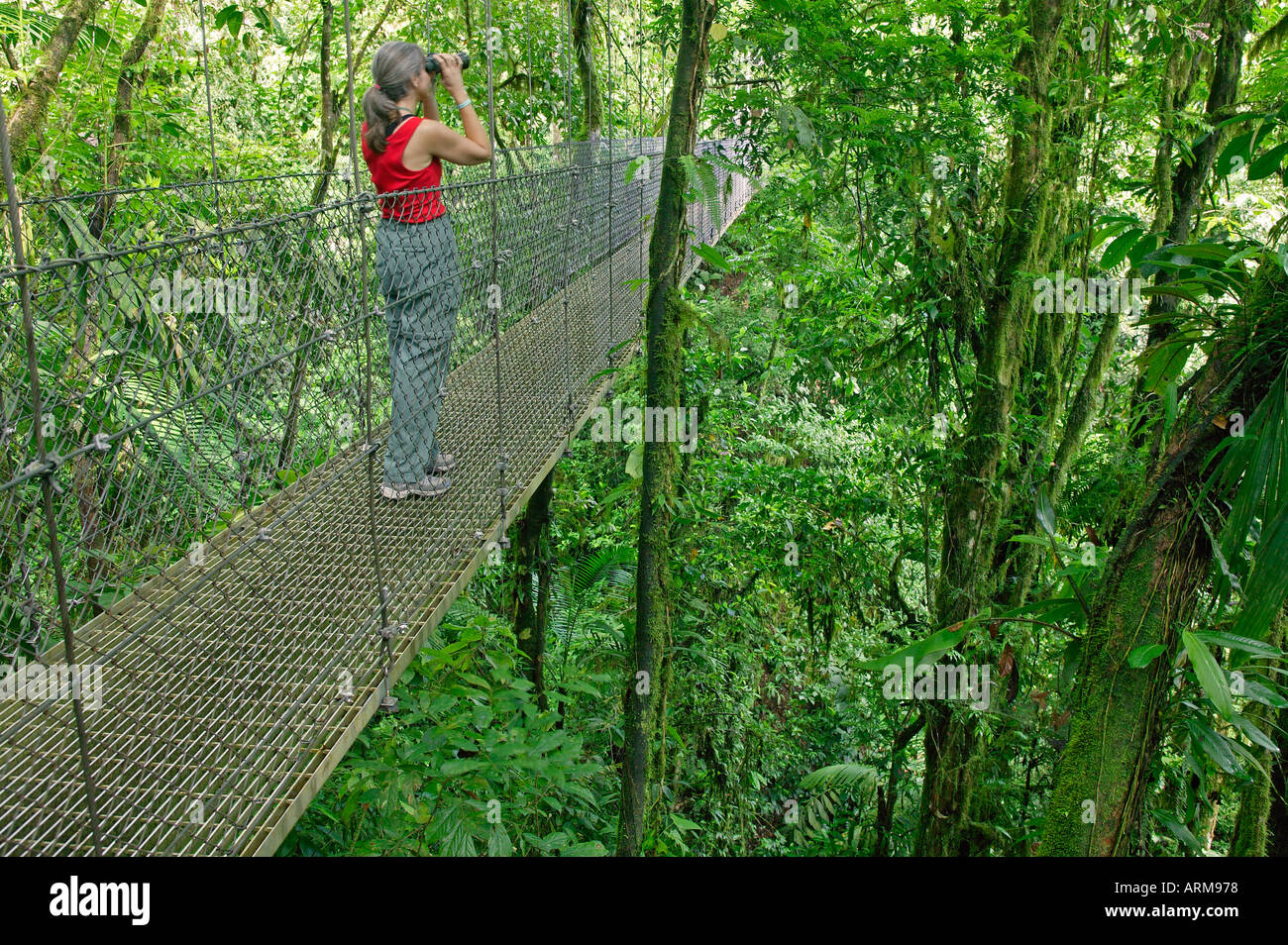 Ein Besucher auf einer Hängebrücke am Arenal Hanging Bridges Trail Arenal Costa Rica Stockfoto