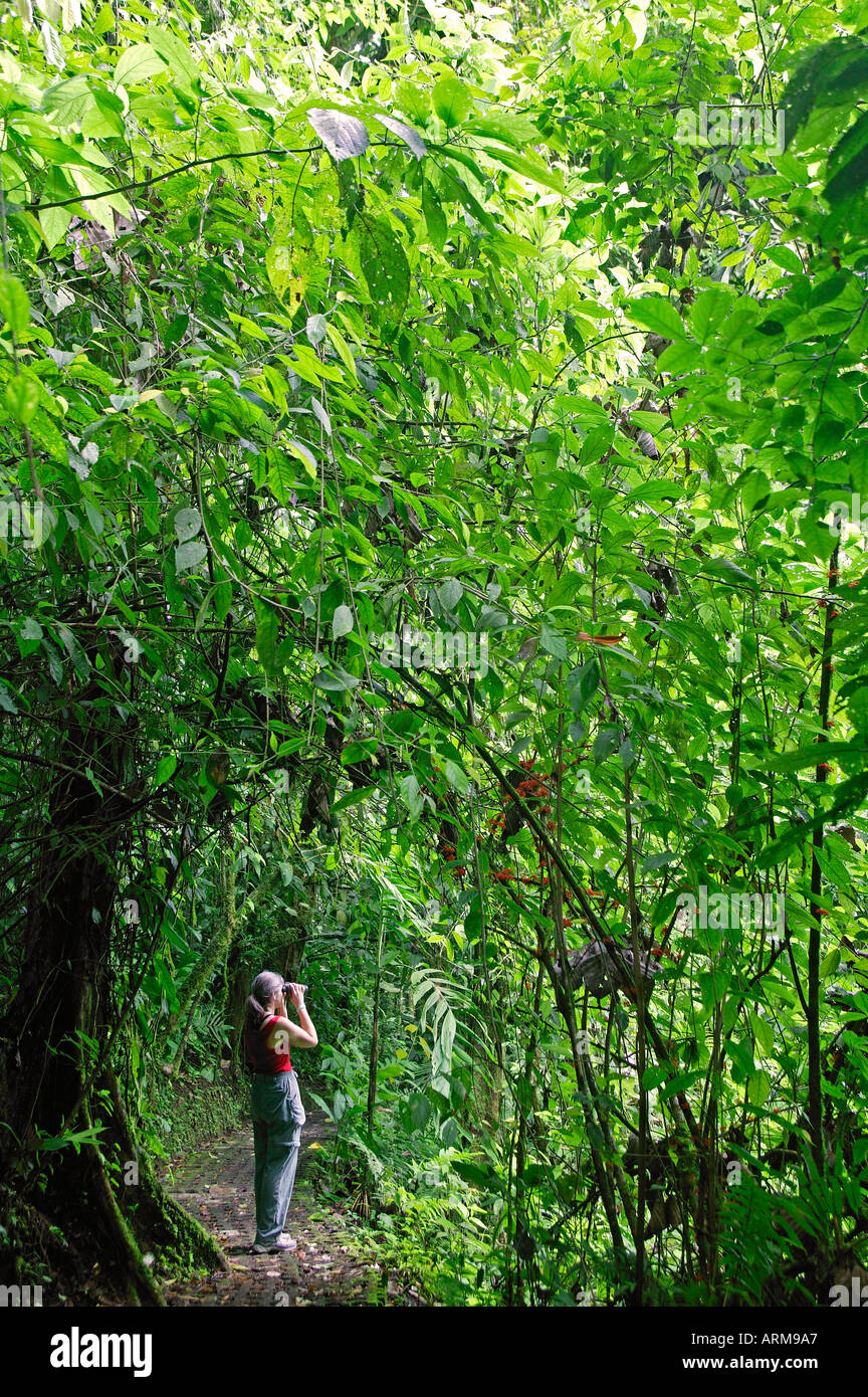 Ein Besucher auf den Arenal Hanging Bridges Trail Arenal Costa Rica Stockfoto
