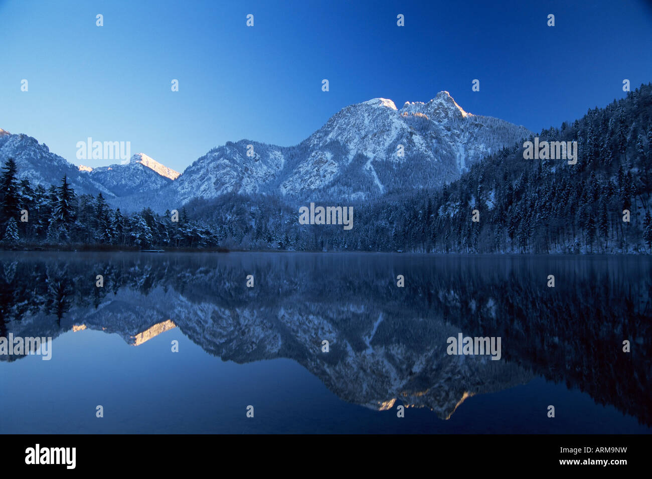 Schwansee Winter, später Nachmittag, Füssen, Bayern, Deutschland, Europa Stockfoto