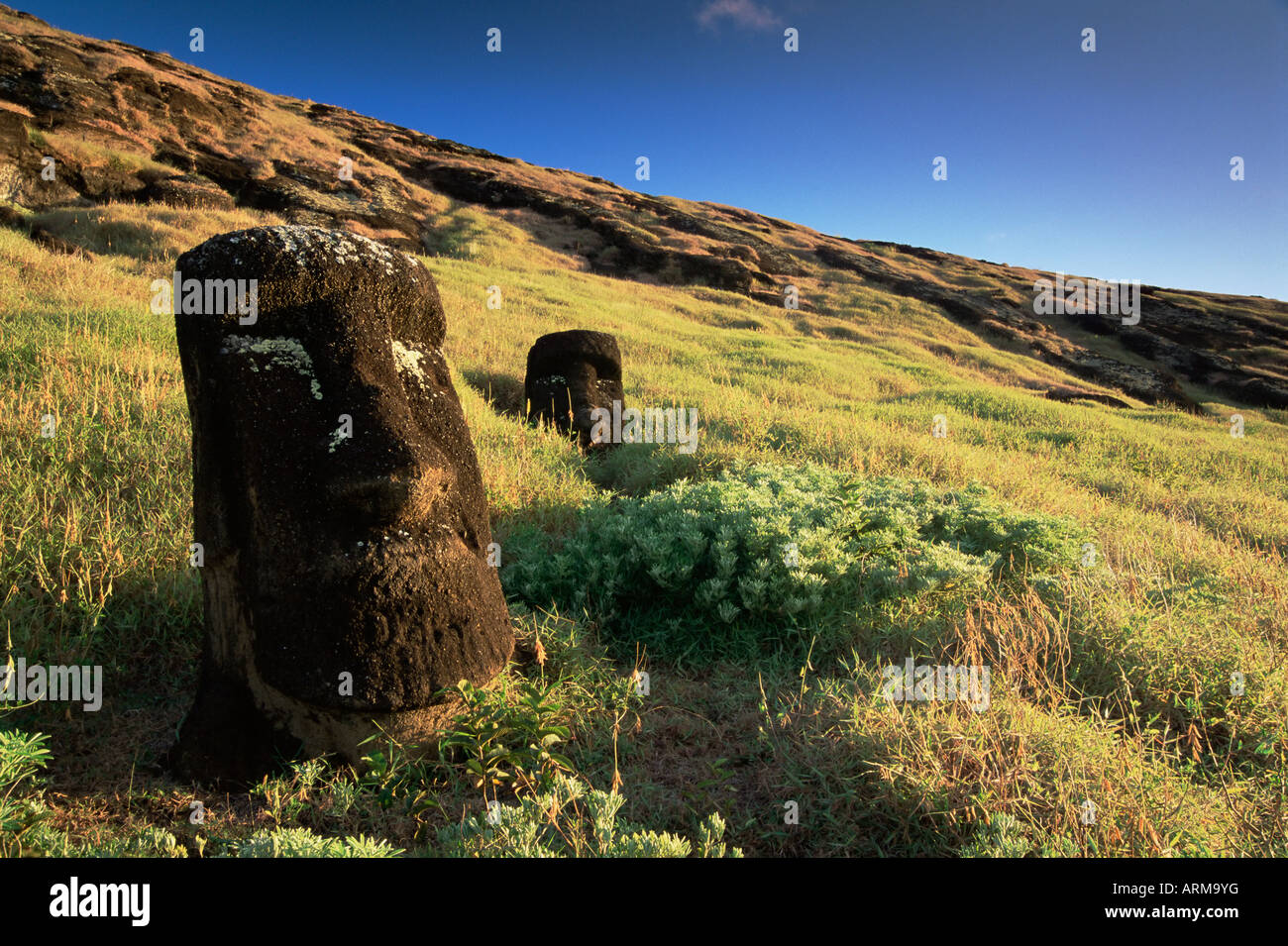 Moais, Cantera Rano Raraku, Osterinsel (Rapa Nui), Chile, Südamerika Stockfoto