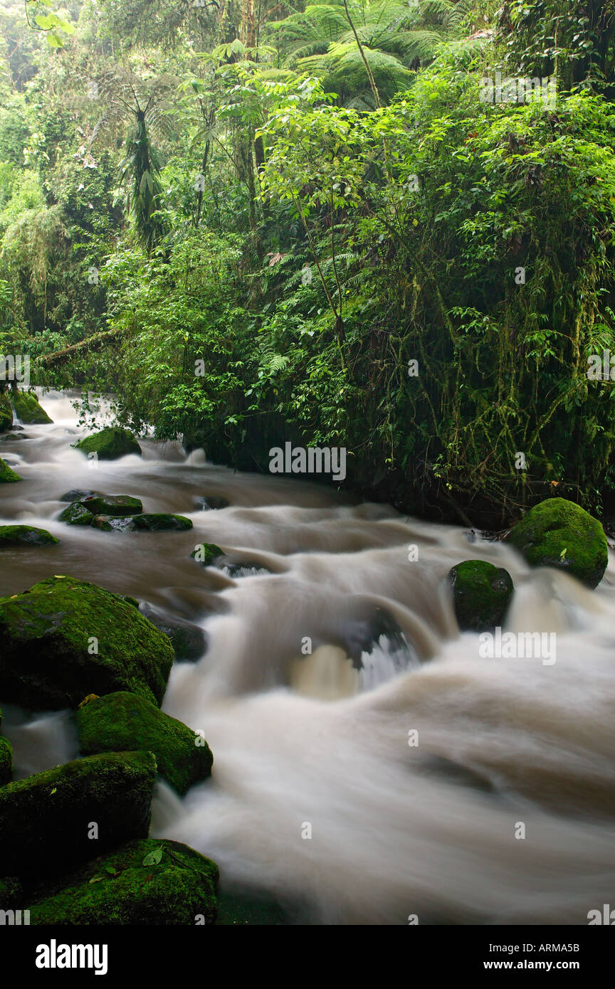 Der La Paz-Fluss fließt entlang des Weges am La Paz Wasserfall Gärten und Frieden Lodge Costa Rica Stockfoto