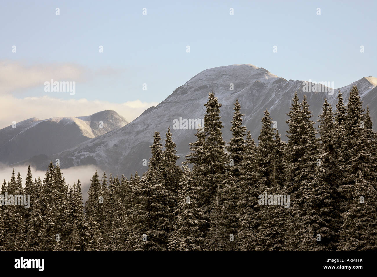 Berge und Evergreens mit Schnee, in der Nähe von Ouray, Colorado, Vereinigte Staaten von Amerika, Nordamerika Stockfoto