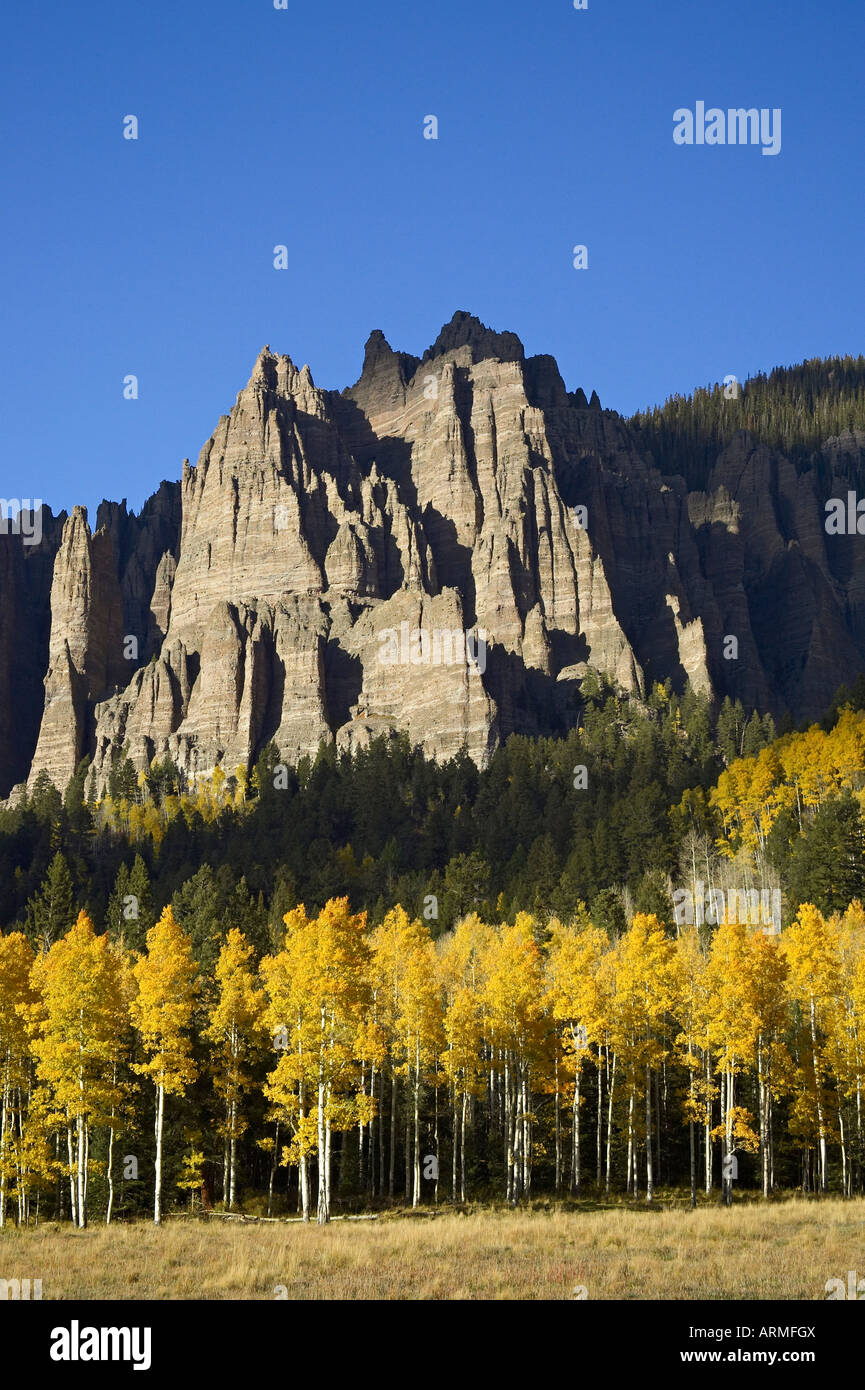 Espen in Herbstfarben mit Bergen, in der Nähe von Silver Jack, Uncompahgre National Forest, Colorado, USA, Nordamerika Stockfoto