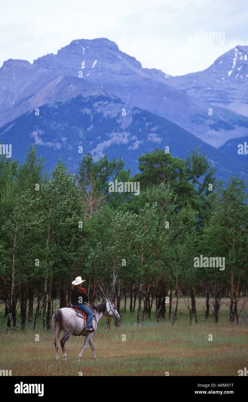 Frau auf dem Rücken der Pferde, Banff, ALberta, Kanada. Stockfoto