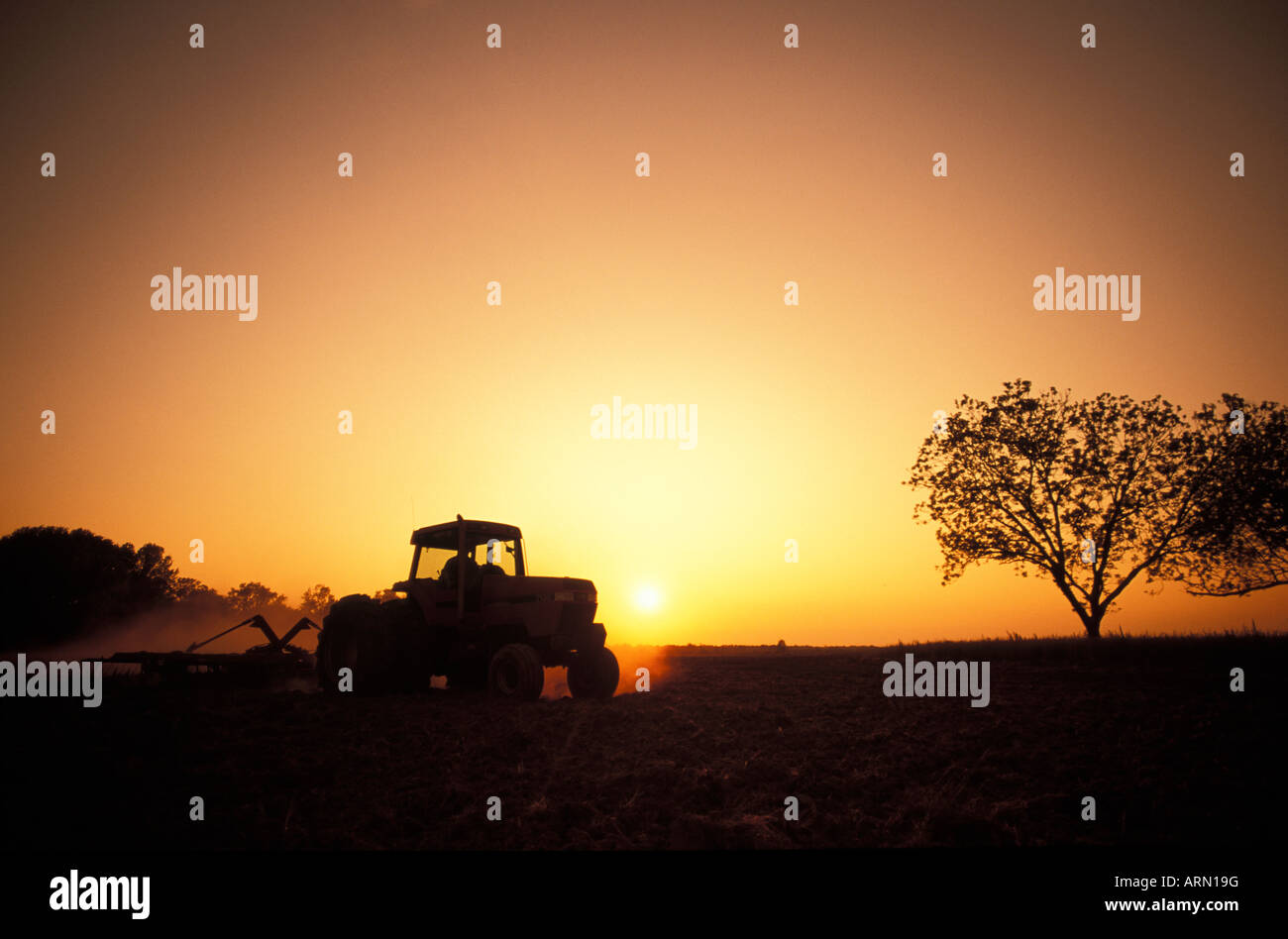 Traktor bei Sonnenuntergang, Saanich Peninsula, Vancouver Island, British Columbia, Kanada. Stockfoto