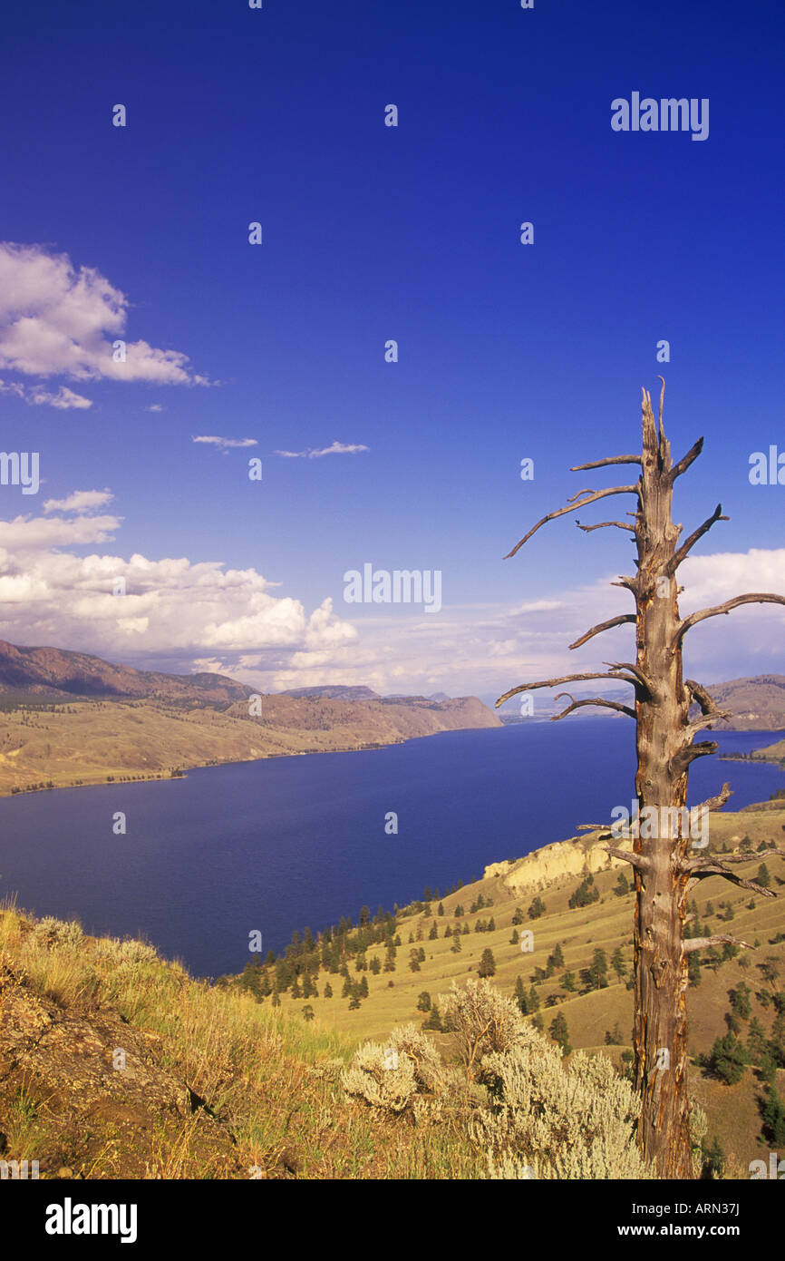 Interieur, Kamloops Lake, British Columbia, Kanada. Stockfoto