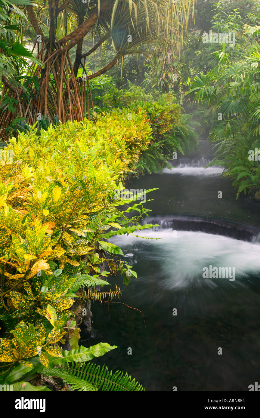 Strom fließt durch Tabacon Hot Spring Resort &amp; Spa Costa Rica Stockfoto