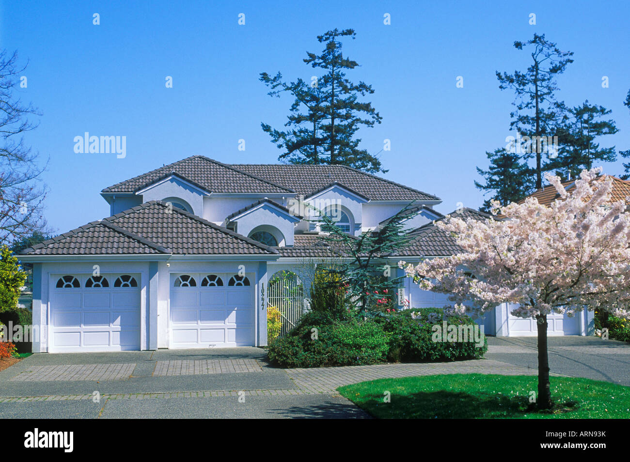 zu Hause in Sidney, Vancouver Island, British Columbia, Kanada. Stockfoto