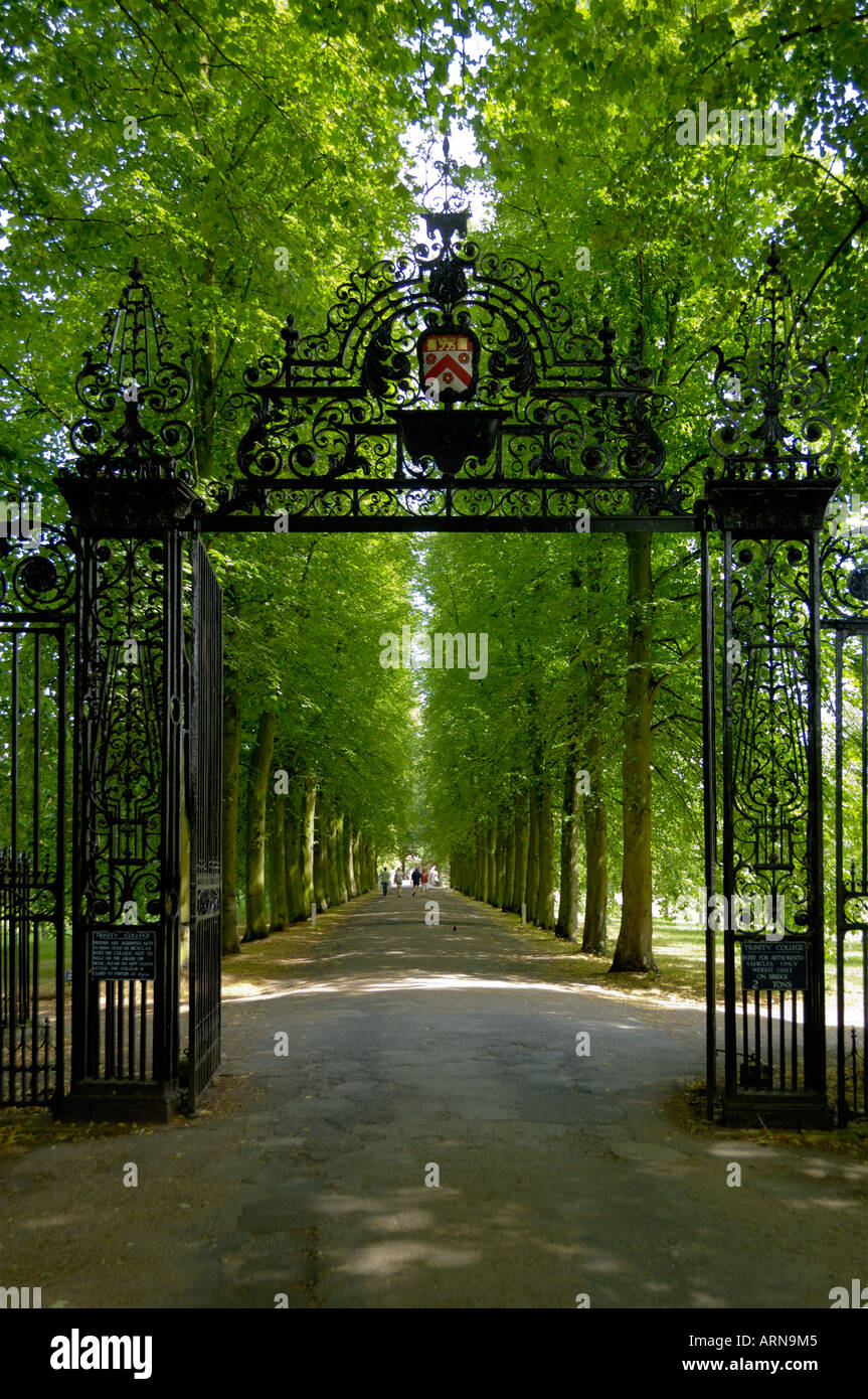 Ornamentale Iron gate Rücken Cambridge England Stockfoto