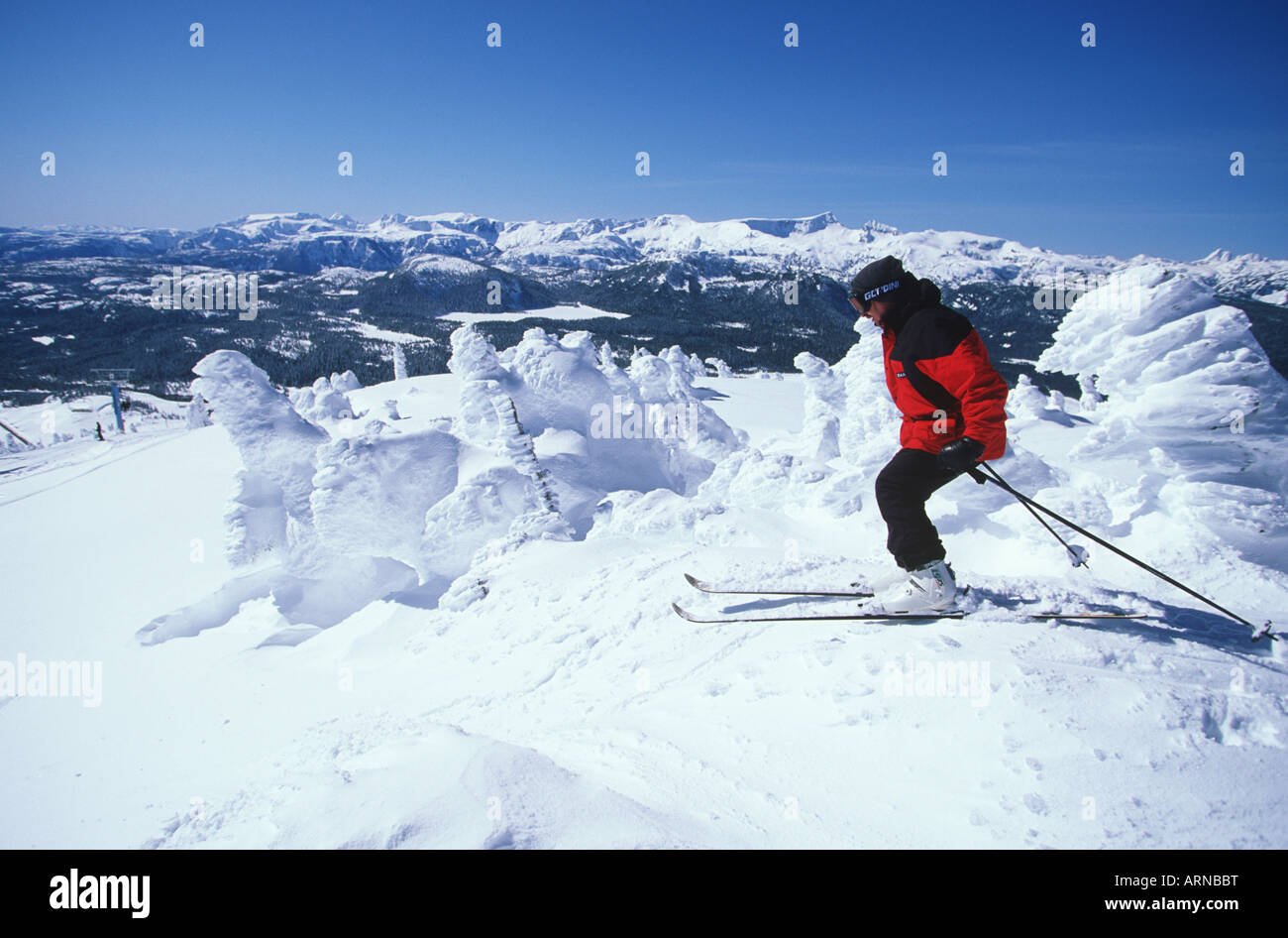 Mount Washington Ski Resort. Skifahrer im Mt Albert Edward overlook, Vancouver Island, British Columbia, Kanada. Stockfoto