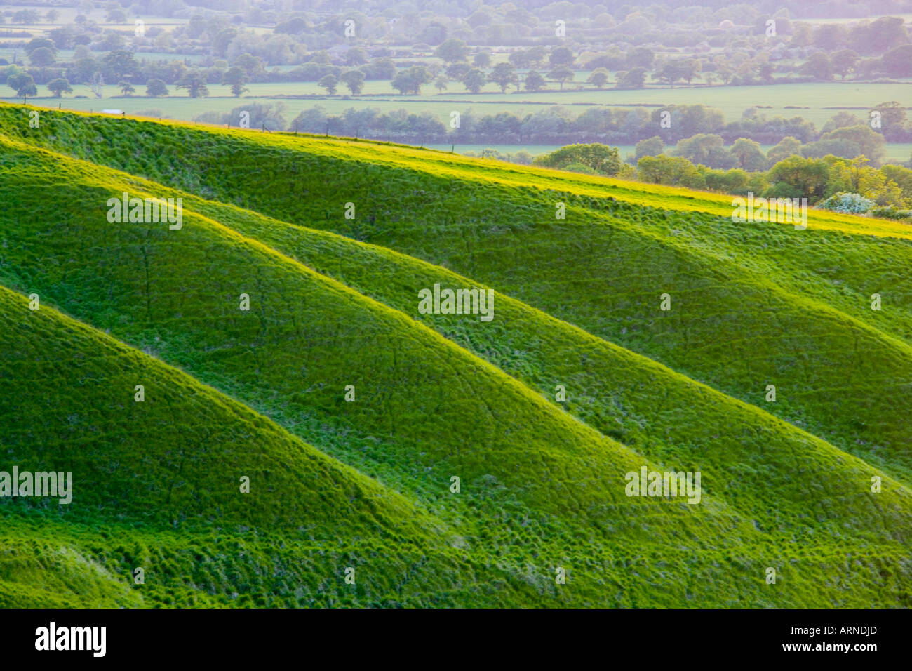 Die Krippe von White Horse Hill bei Uffington Oxfordshire England JMH1775 Stockfoto