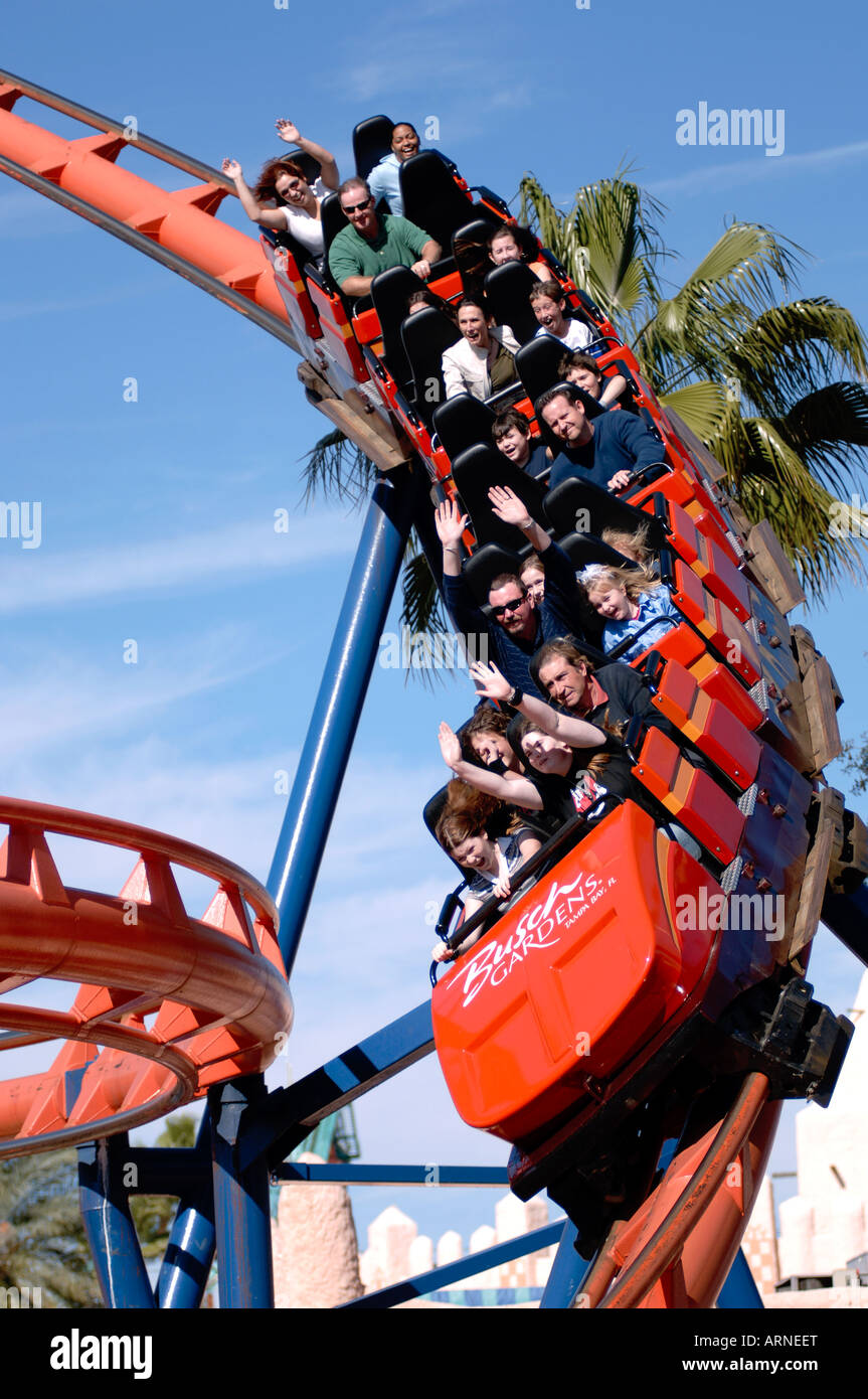Der Scorpion Achterbahn bei Busch Gardens Tampa Florida USA mit Nervenkitzel an Bord genießen die Fahrt Stockfoto