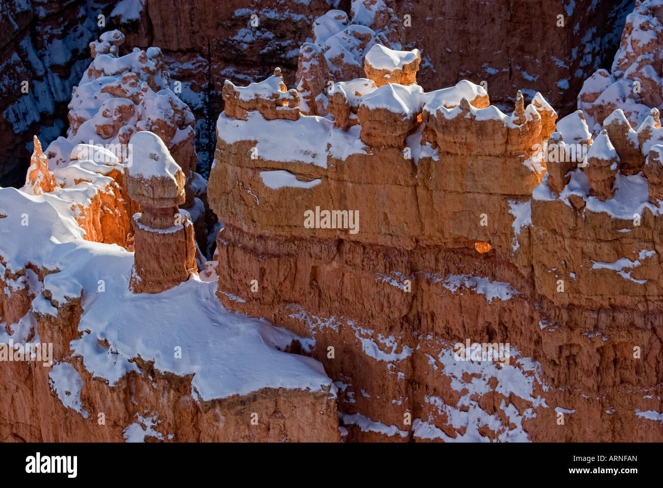 Bryce Canyon Winter Schnee roten Felsen Hoodo Sonnenaufgang Stockfoto