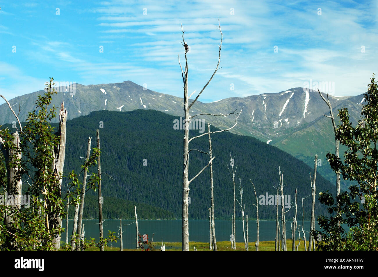 Berge und Seen unter wachsamen Augen eines kühnen Eagle. Alaska. USA. Stockfoto