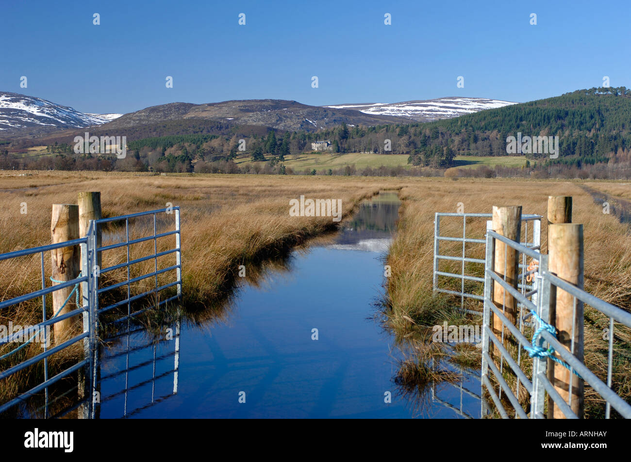 Überschwemmten Wiesen auf die Insh Sümpfe RSPB Bird Reserve Badenoch und Strathspey Stockfoto