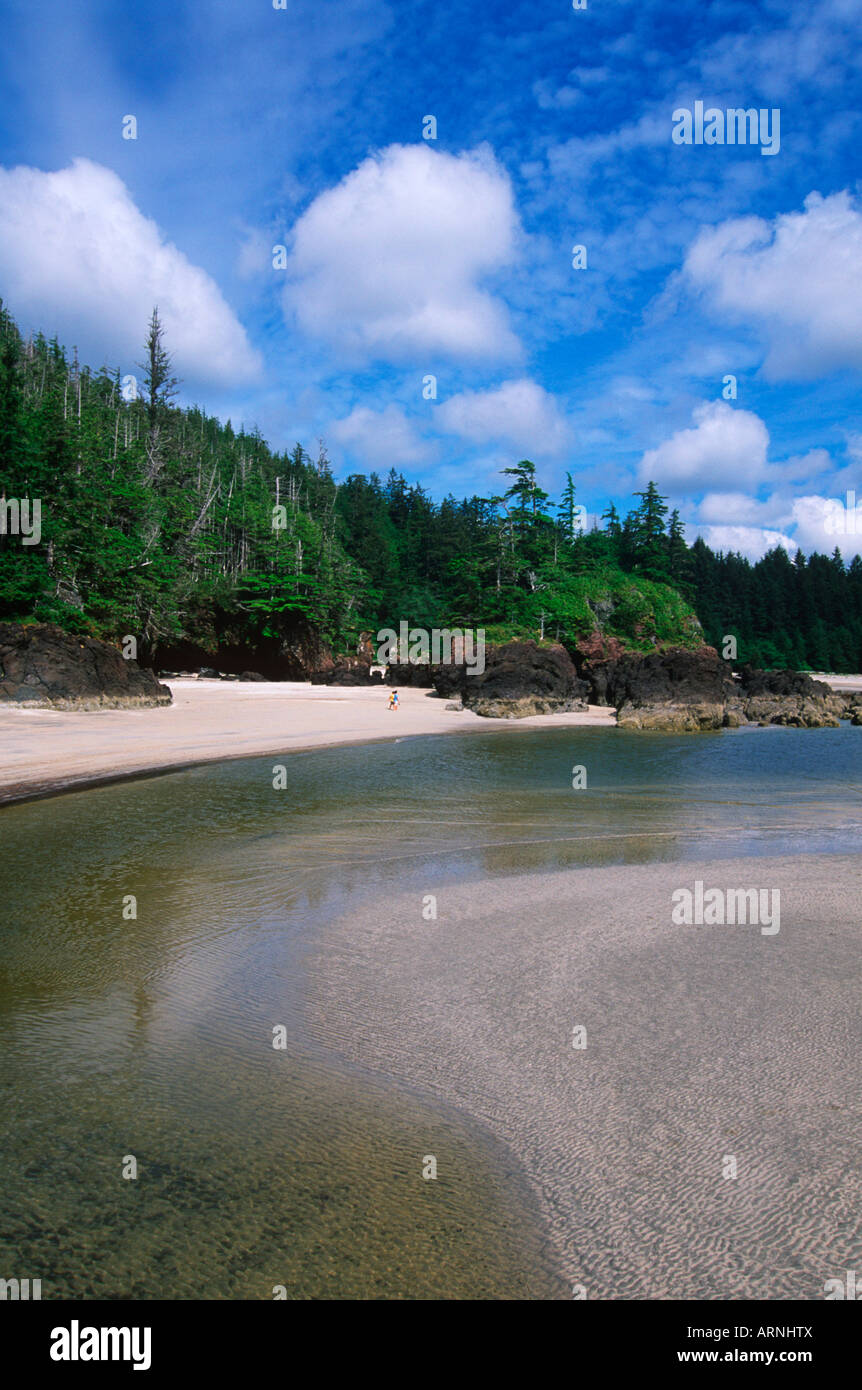 Nord-West, San Joseph Bay, Vancouver Island, British Columbia, Kanada. Stockfoto