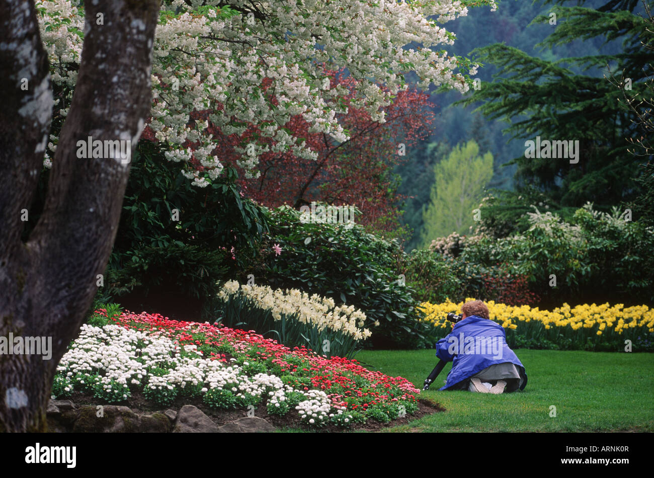 Butchart Gardens, Frau Fotos Frühling Blume Display, Victoria, Vancouver Island, British Columbia, Kanada. Stockfoto