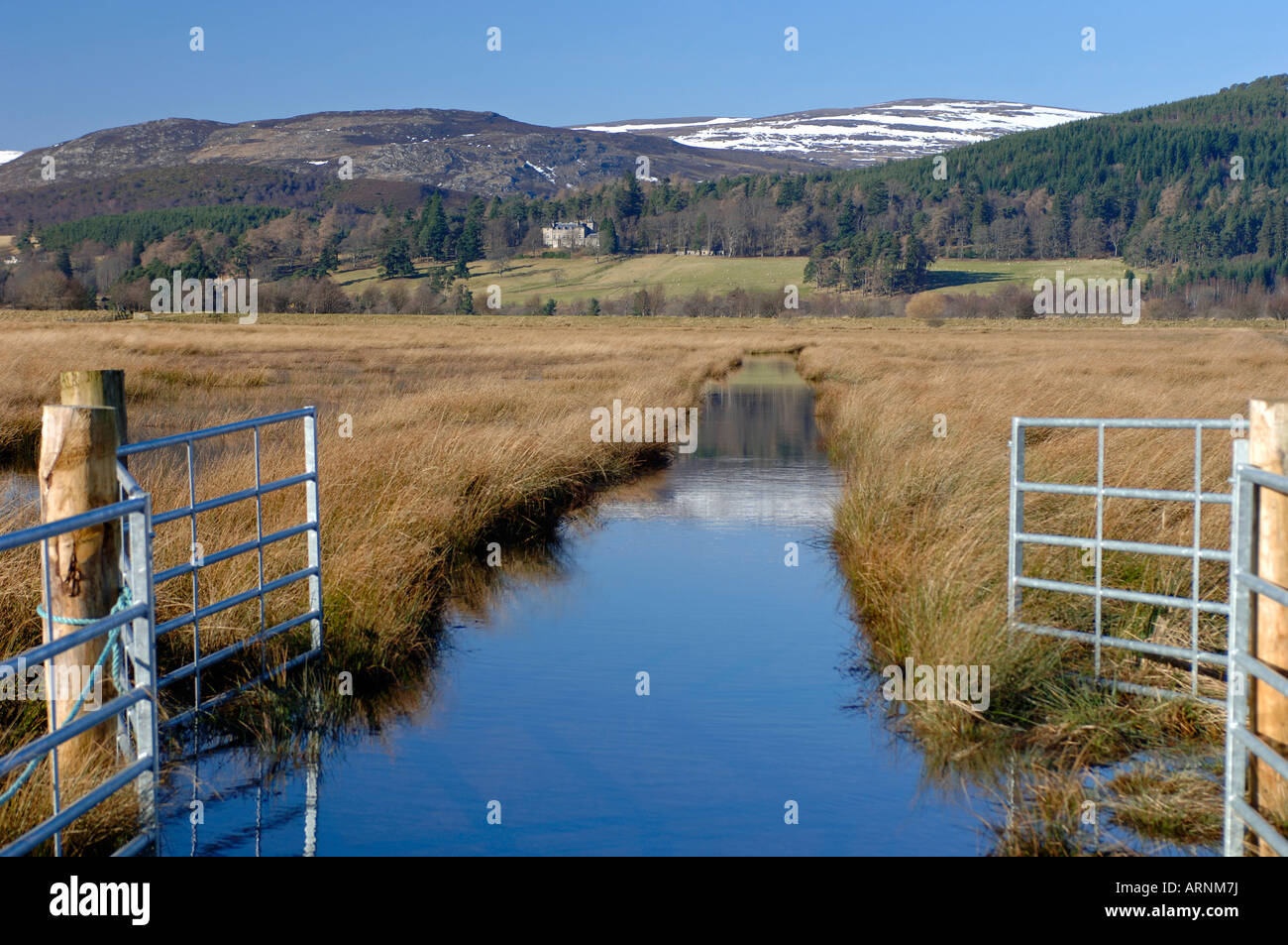 Überschwemmten Wiesen auf die Insh Sümpfe RSPB Bird Reserve Badenoch und Strathspey Stockfoto
