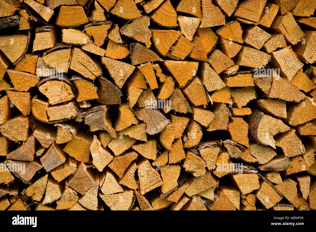 Detail der Protokolle im Holzstapel hautnah Stockfoto