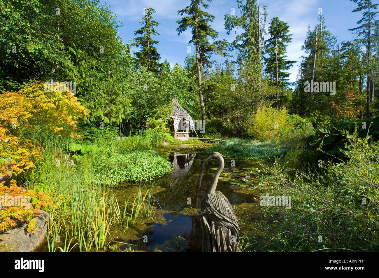 Tofino Botanical Gardens Seerosenteich mit Holz-Skulptur, Vancouver Island, British Columbia, Kanada. Stockfoto